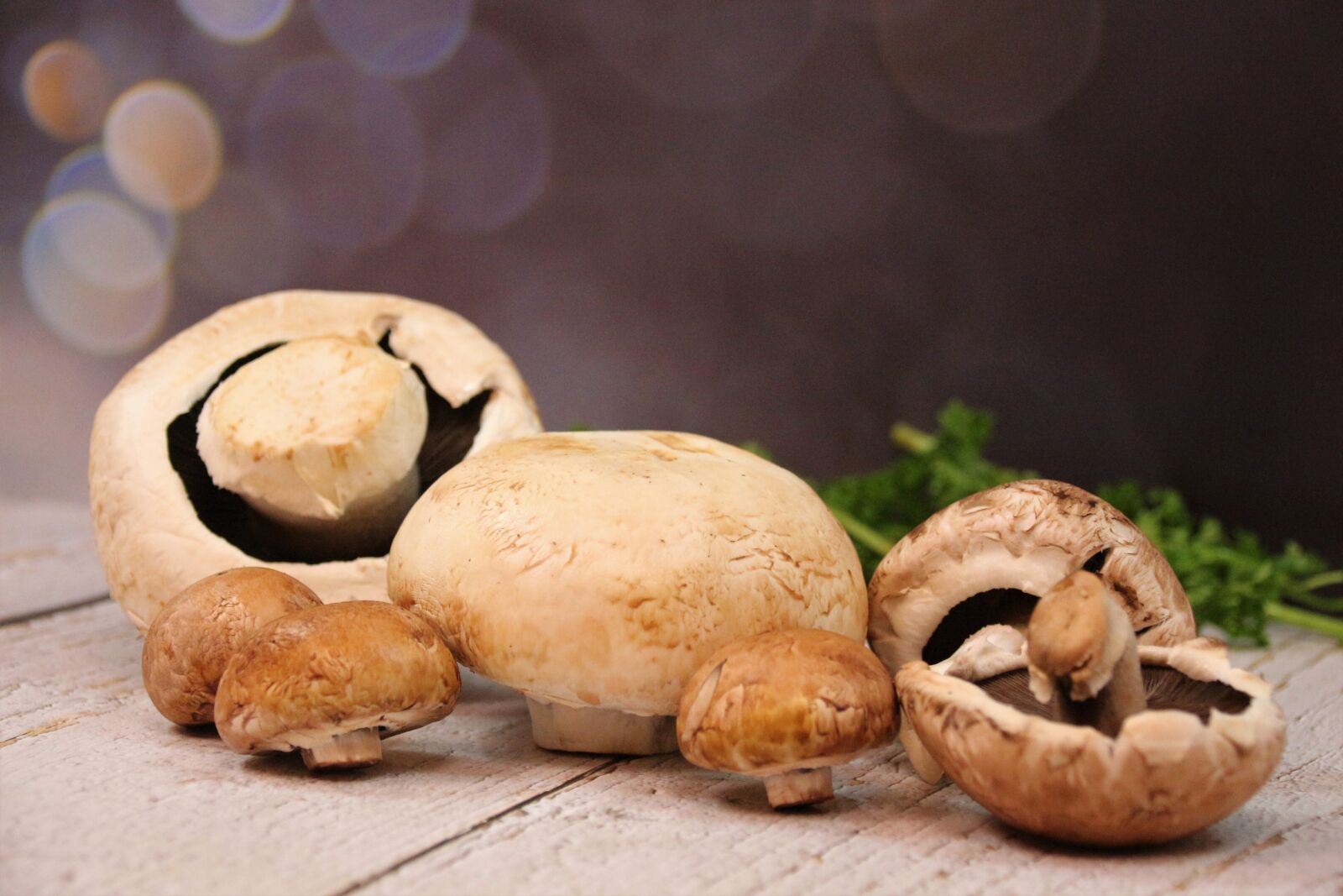 Canon EOS 700D (EOS Rebel T5i / EOS Kiss X7i) sample photo. Mushrooms, delicious, nutrition photography