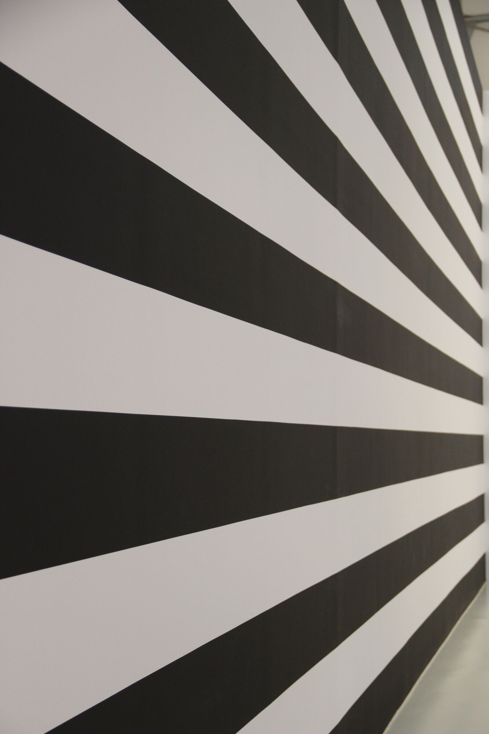 Canon EF-S 18-135mm F3.5-5.6 IS sample photo. Stripes, black, white photography