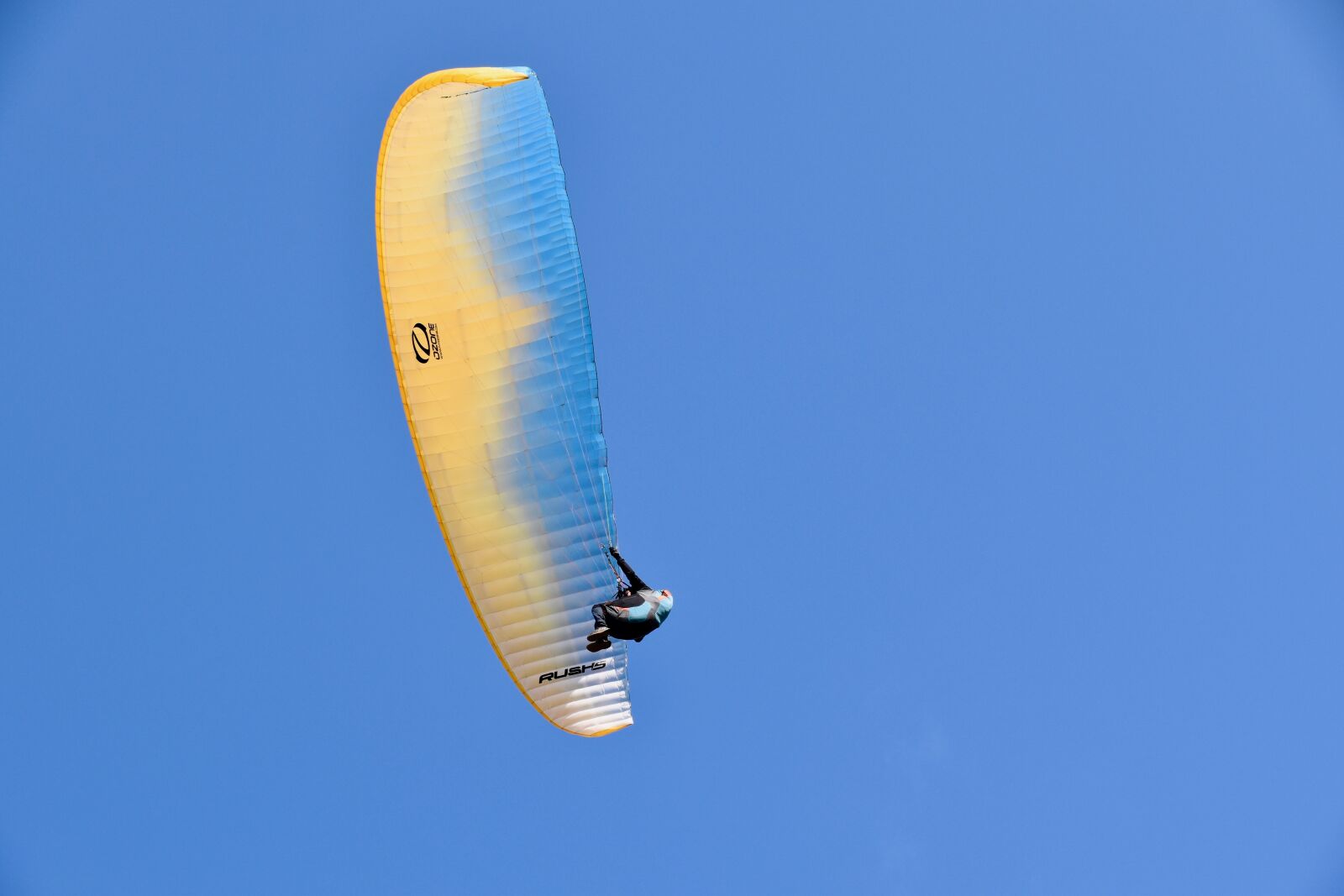 Nikon D5600 sample photo. Paragliding, paraglider, aircraft photography