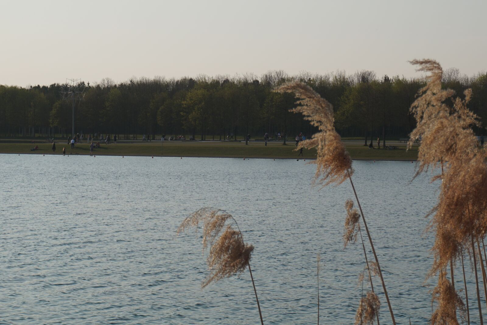 Sony a6000 sample photo. Lake, sun, sunset photography