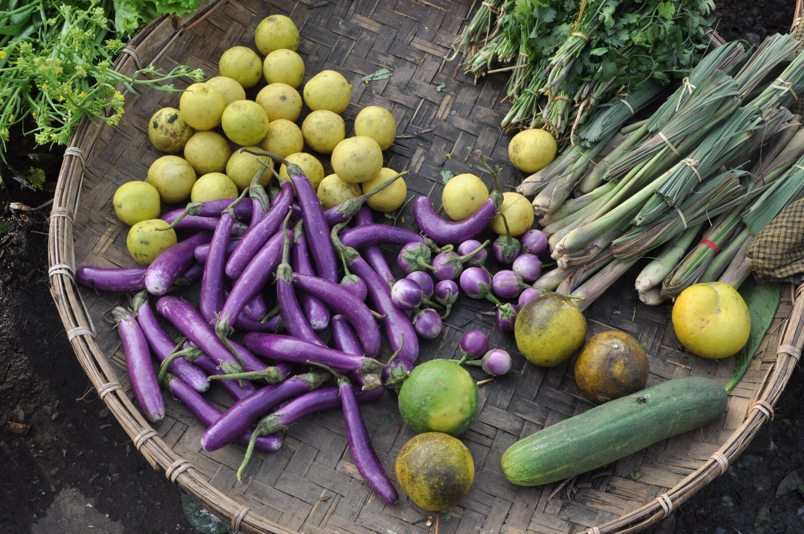 Nikon D5000 sample photo. Vegetables, market, eggplant photography