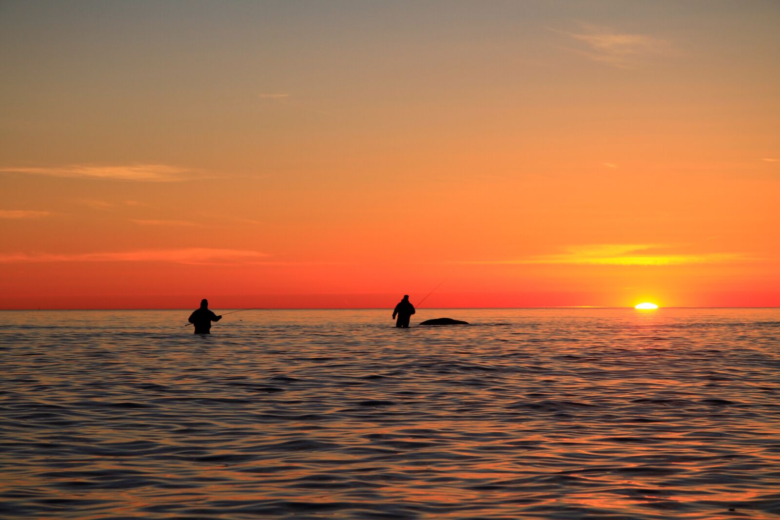 Canon EOS 7D sample photo. Sunset, sea, fish photography
