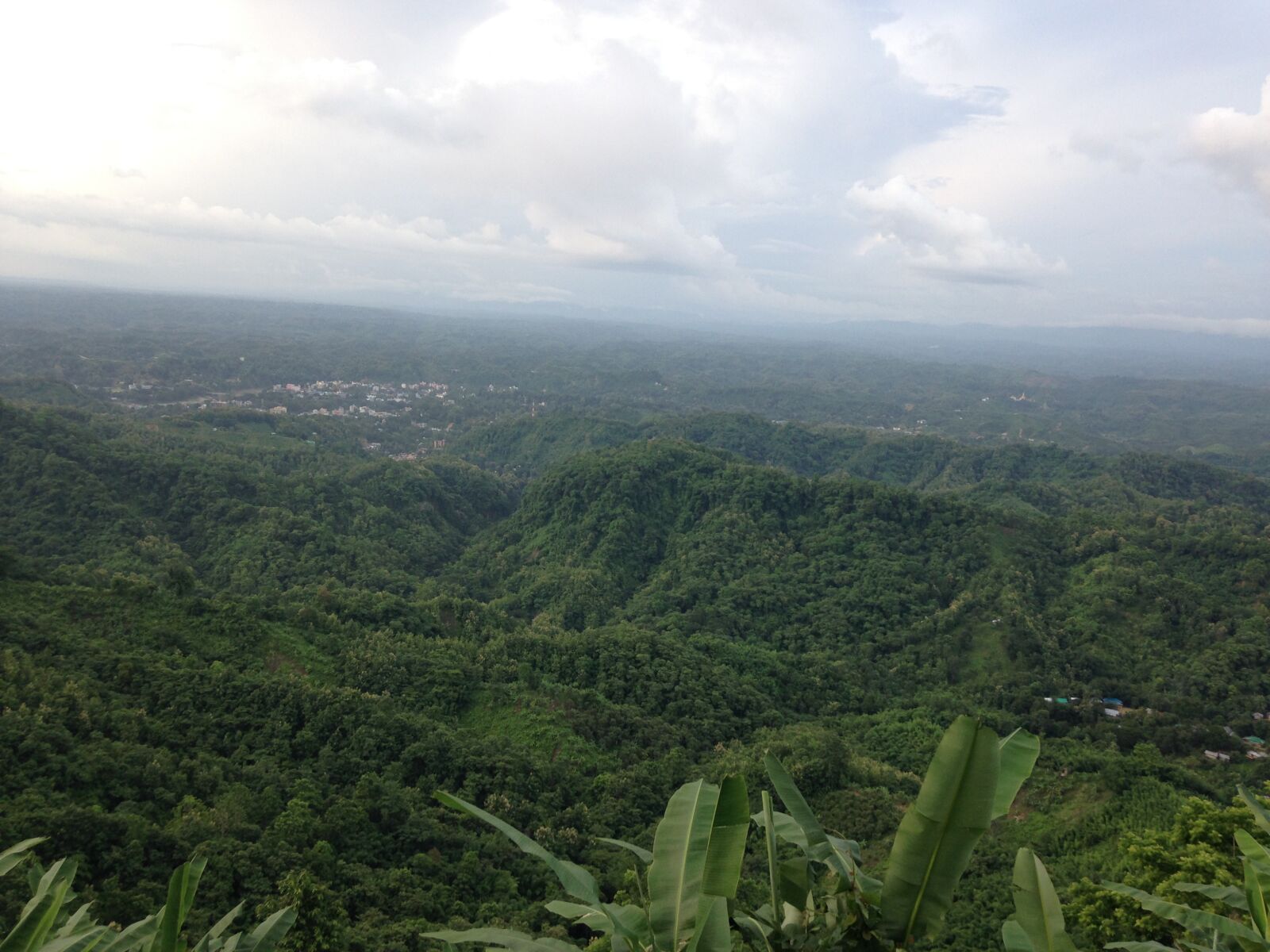 iPhone 5c back camera 4.12mm f/2.4 sample photo. Nature, beauty of nature photography