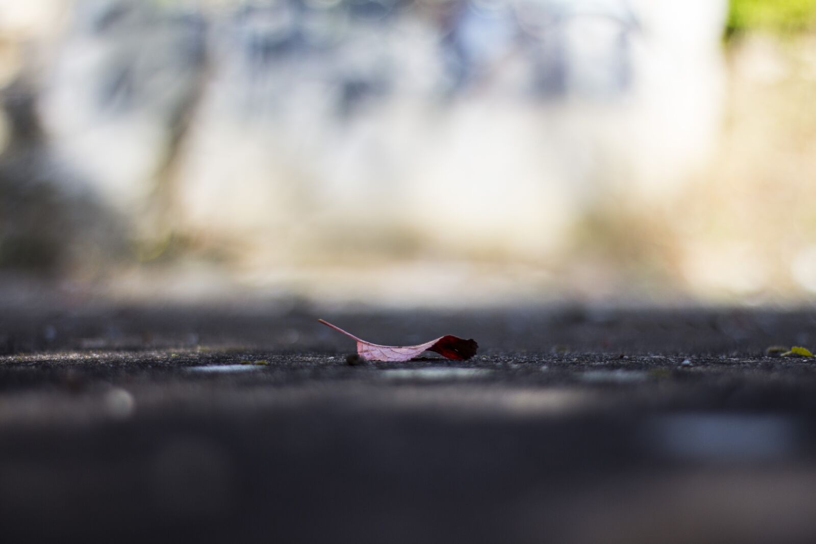 Canon EOS 700D (EOS Rebel T5i / EOS Kiss X7i) sample photo. Nature, waters, winter photography