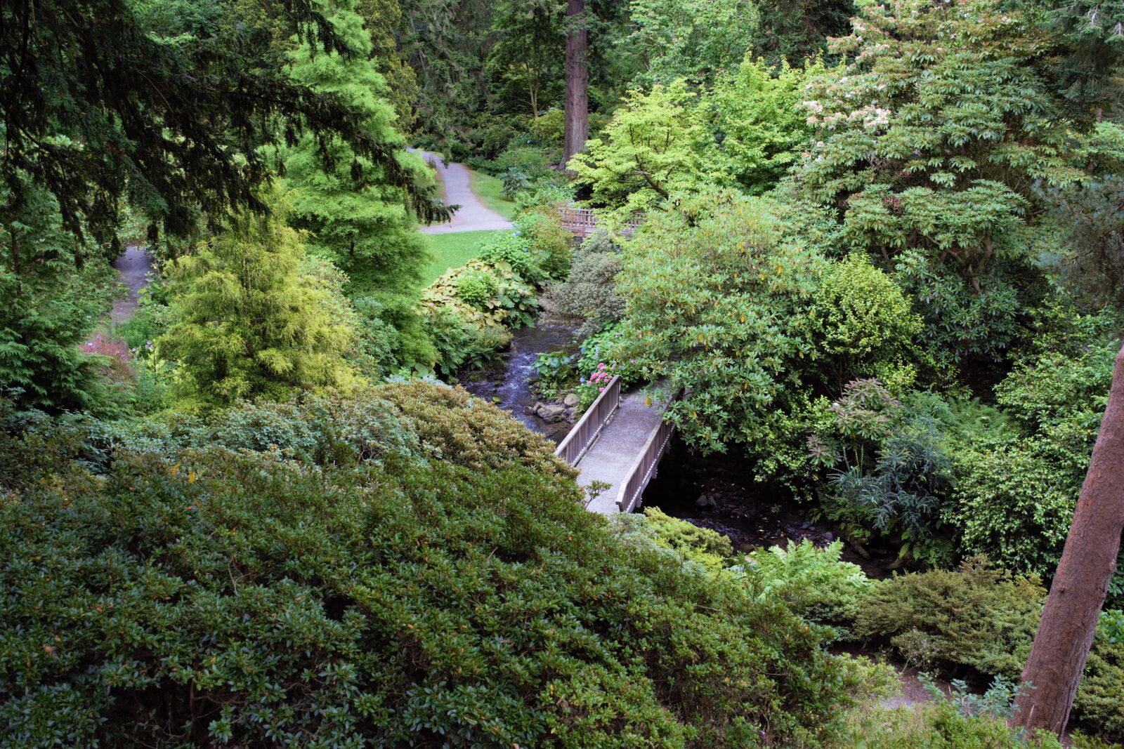 Nikon D3300 sample photo. Gardens, wales, north wales photography