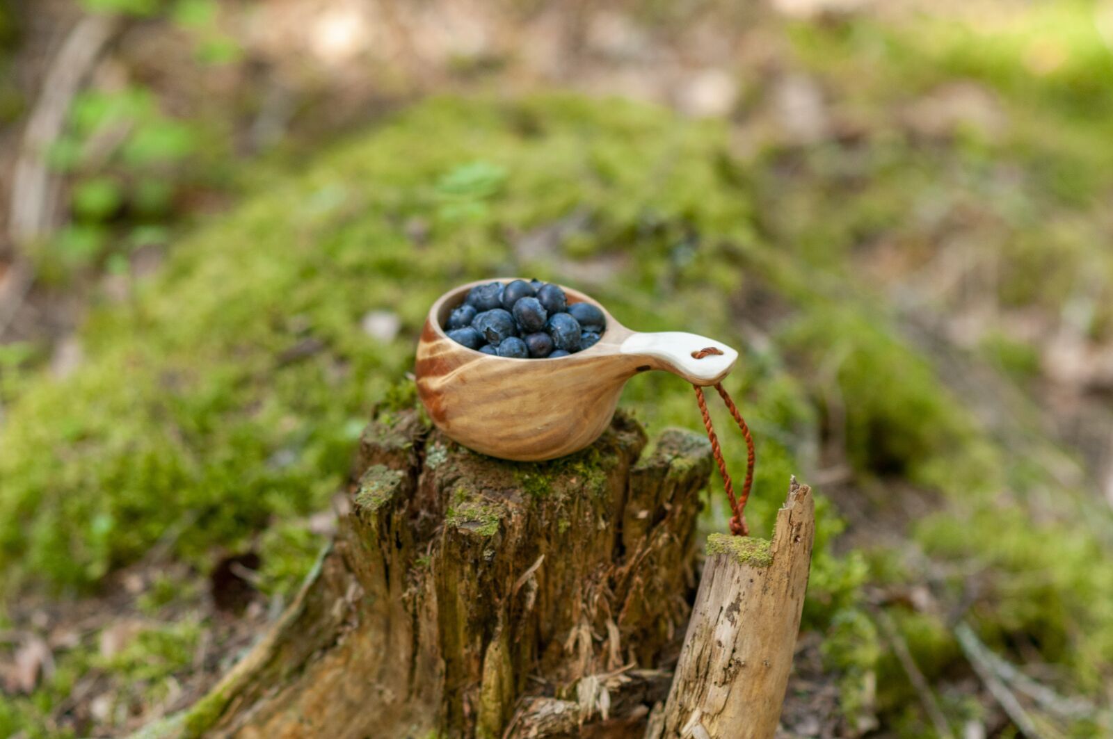 Nikon D300 sample photo. Blueberries, forest, nature photography