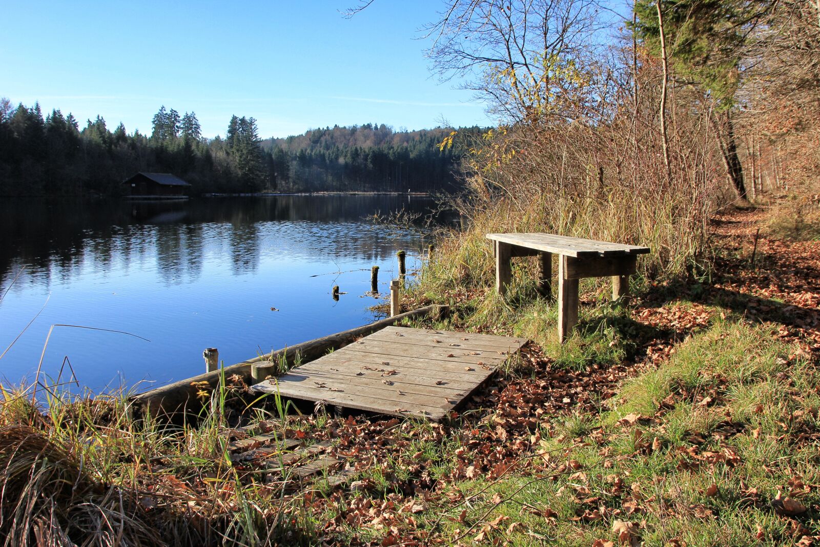 Canon EOS 550D (EOS Rebel T2i / EOS Kiss X4) sample photo. Waters, lake, wood photography