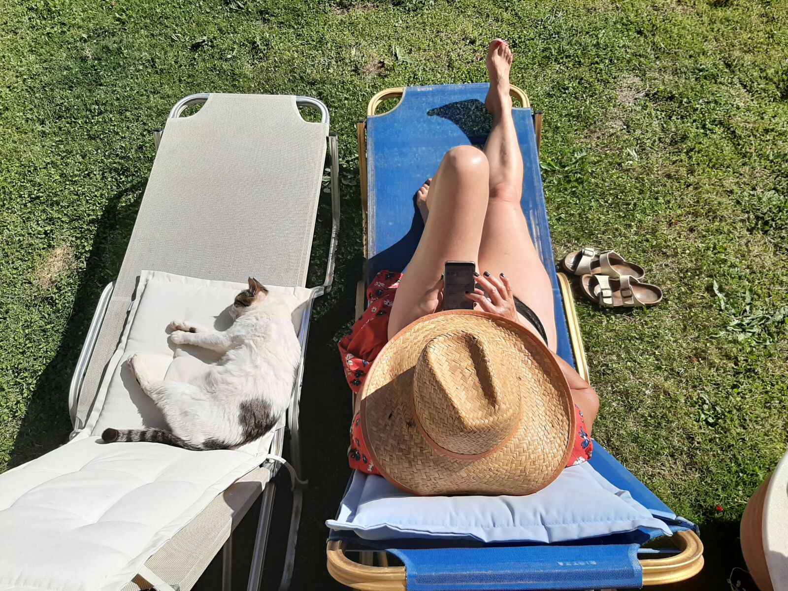 Samsung Galaxy A50 sample photo. Cat, cat sleeping, sunbed photography