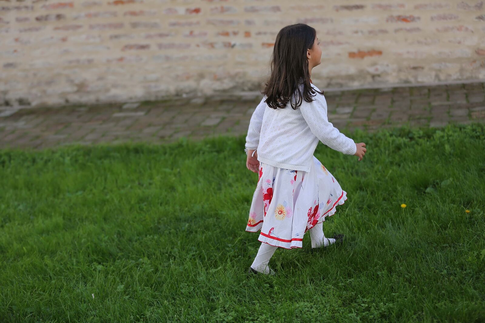 Canon EF 70-200mm F2.8L IS II USM sample photo. Child, walking, grassy, leisure photography