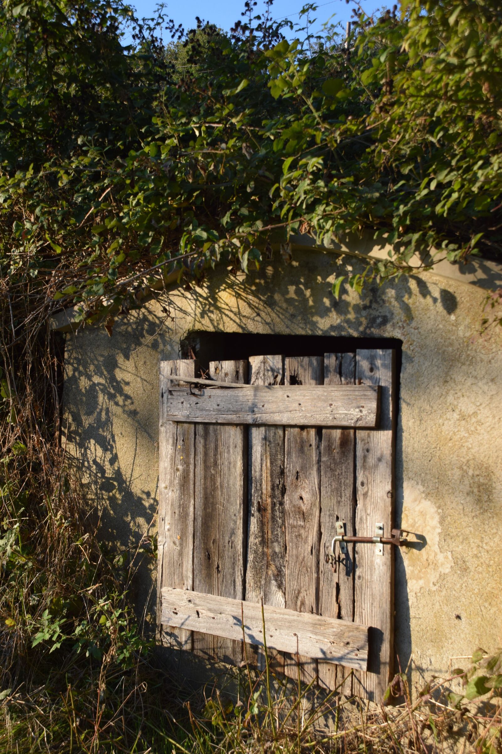 Nikon D3300 sample photo. Pozzo, old, wood photography