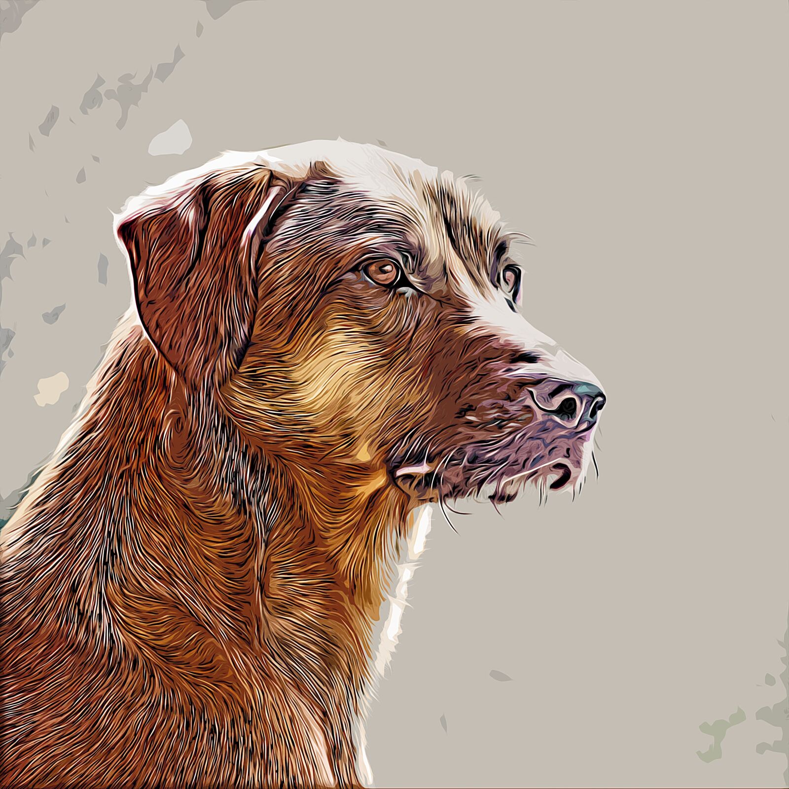 Canon EOS 700D (EOS Rebel T5i / EOS Kiss X7i) sample photo. Dog, portrait, drawing photography