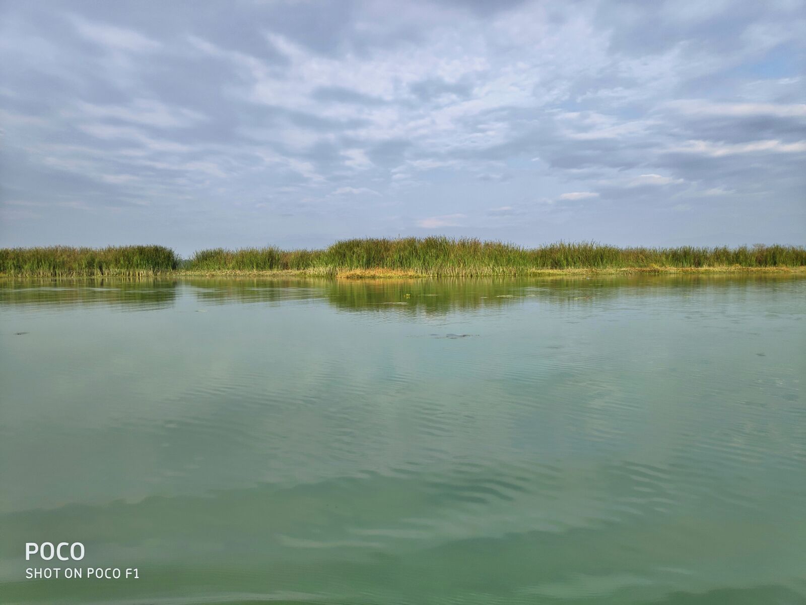 Xiaomi POCO F1 sample photo. Wetland of gajoldoba, north photography