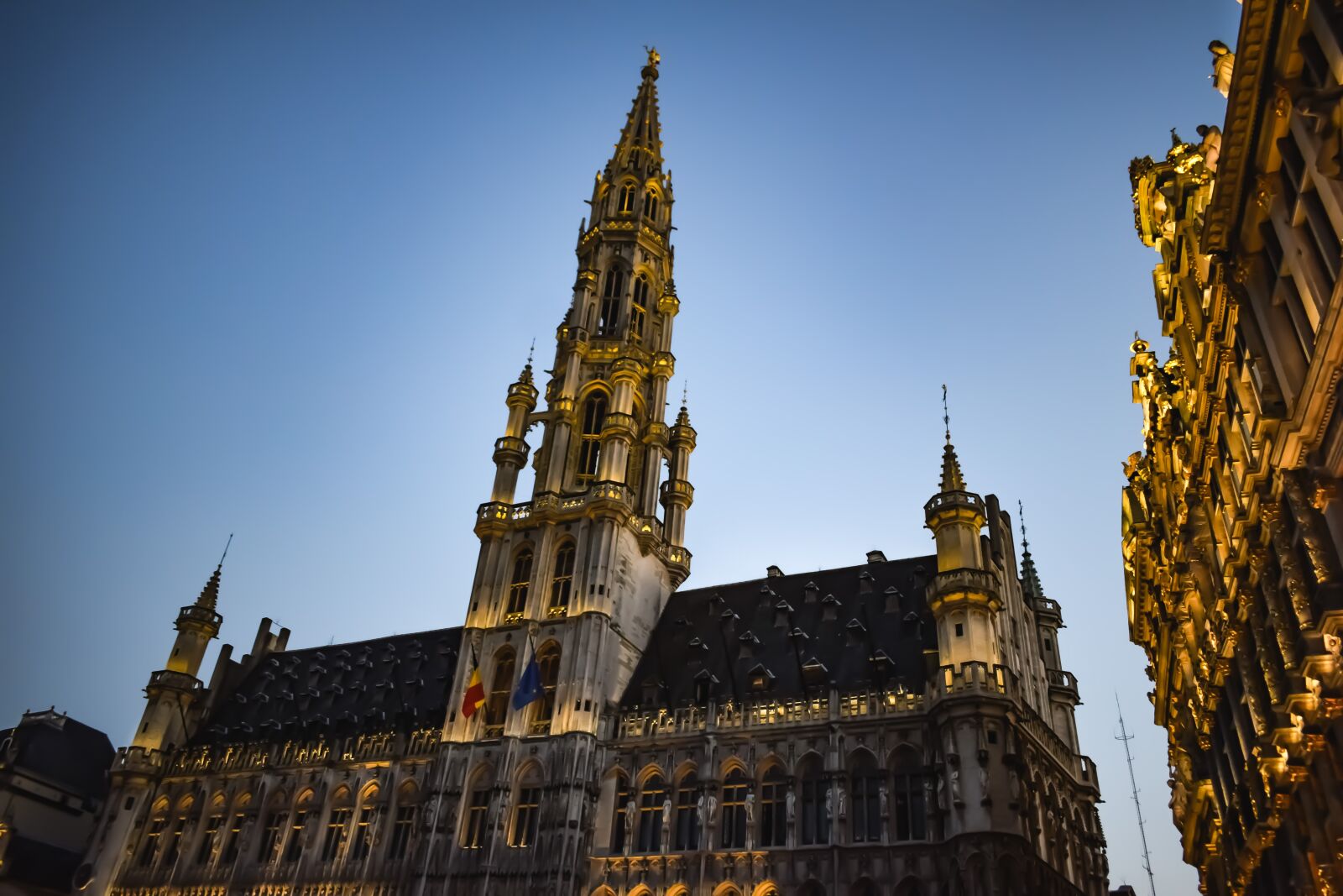 Nikon D3300 sample photo. Belgium, brussels, town hall photography