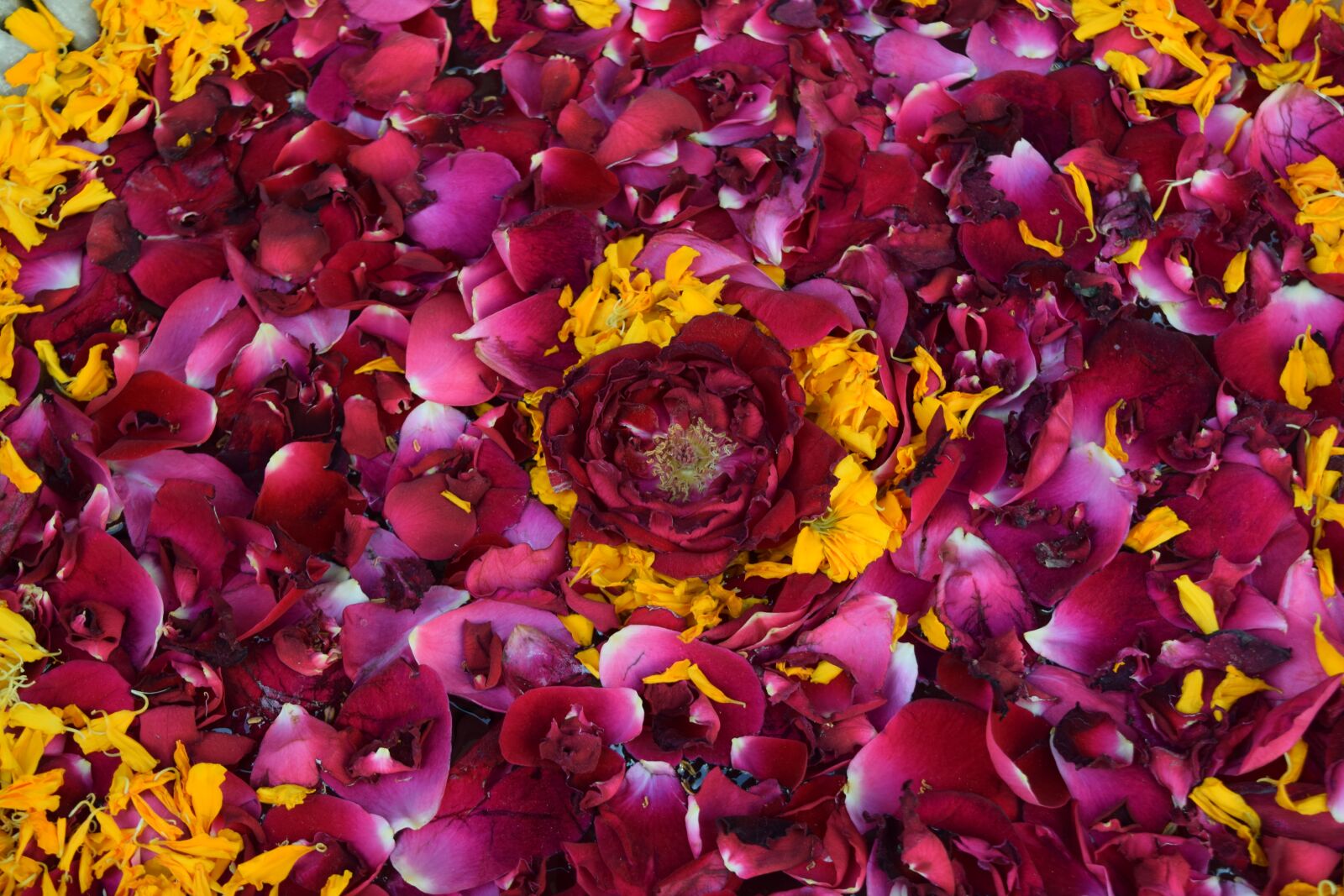 Nikon D3300 sample photo. Flowers, decoration, floral decorations photography