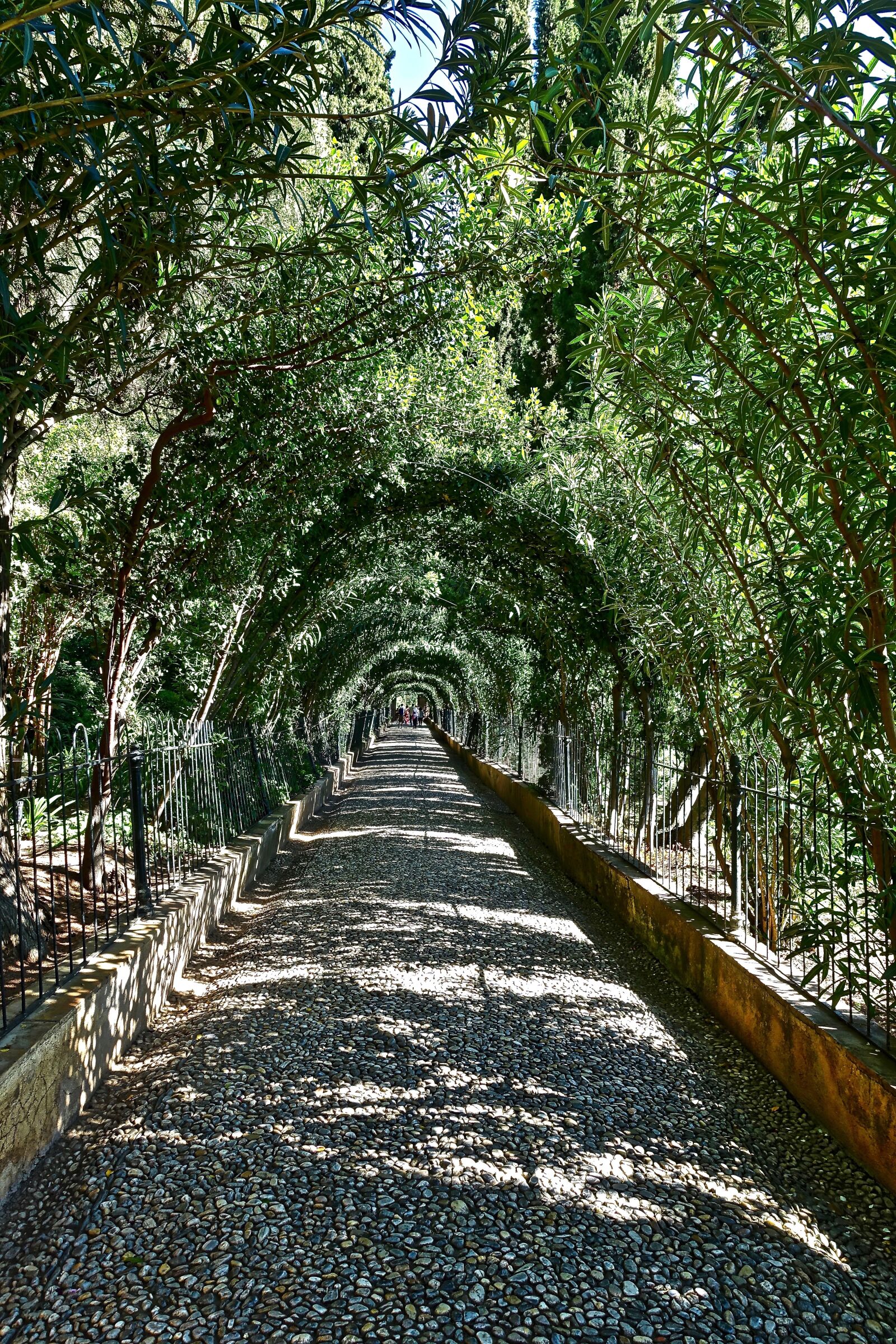 Sony Cyber-shot DSC-RX100 III sample photo. Path, greenery, landscape photography