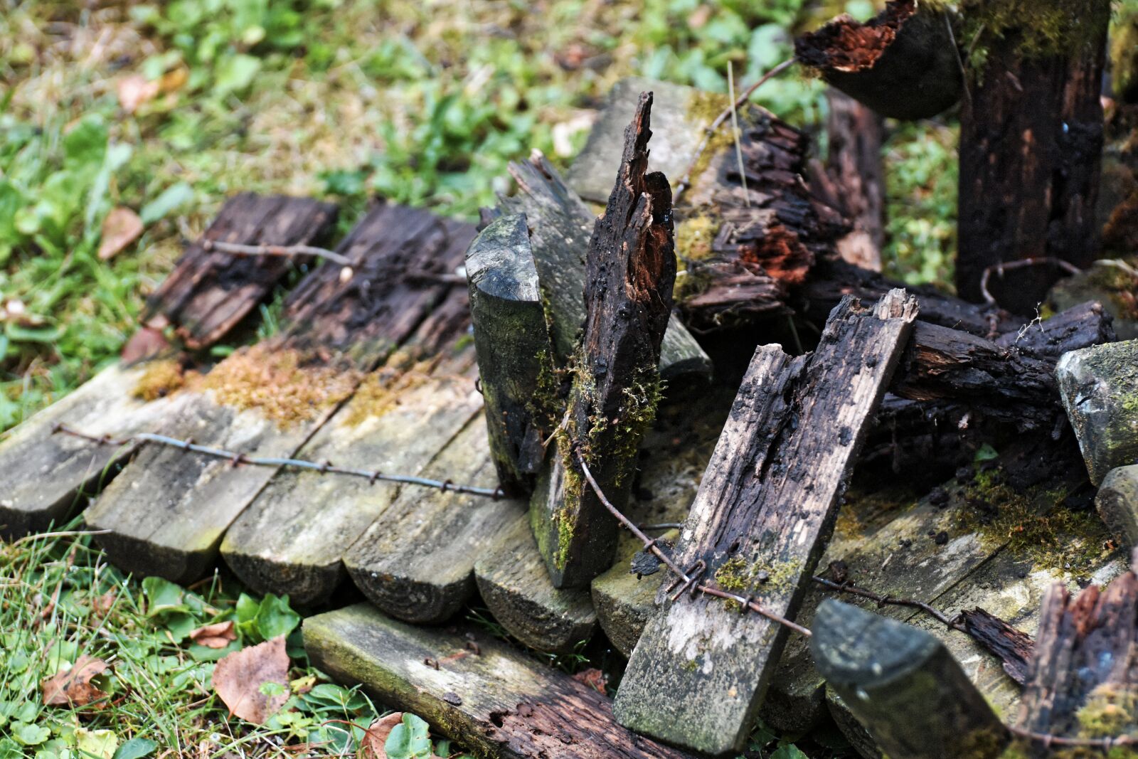 Nikon D7200 sample photo. Wood, broken, fence photography
