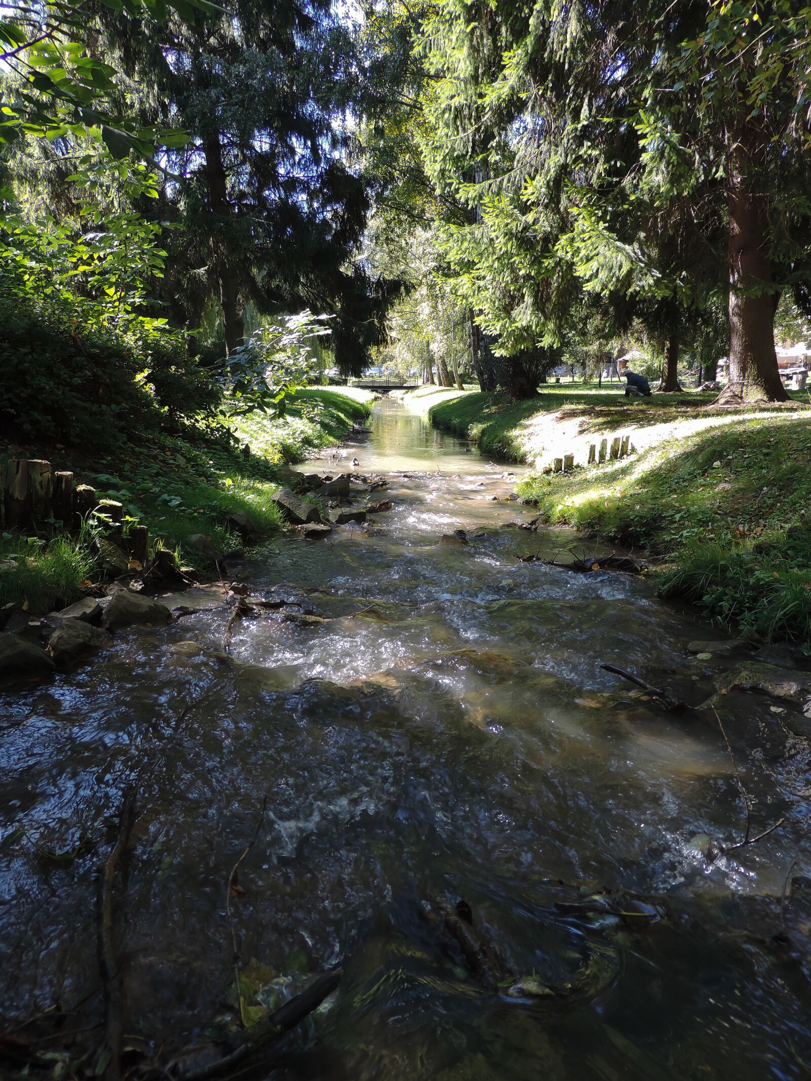 Nikon Coolpix P520 sample photo. The brook, river, water photography