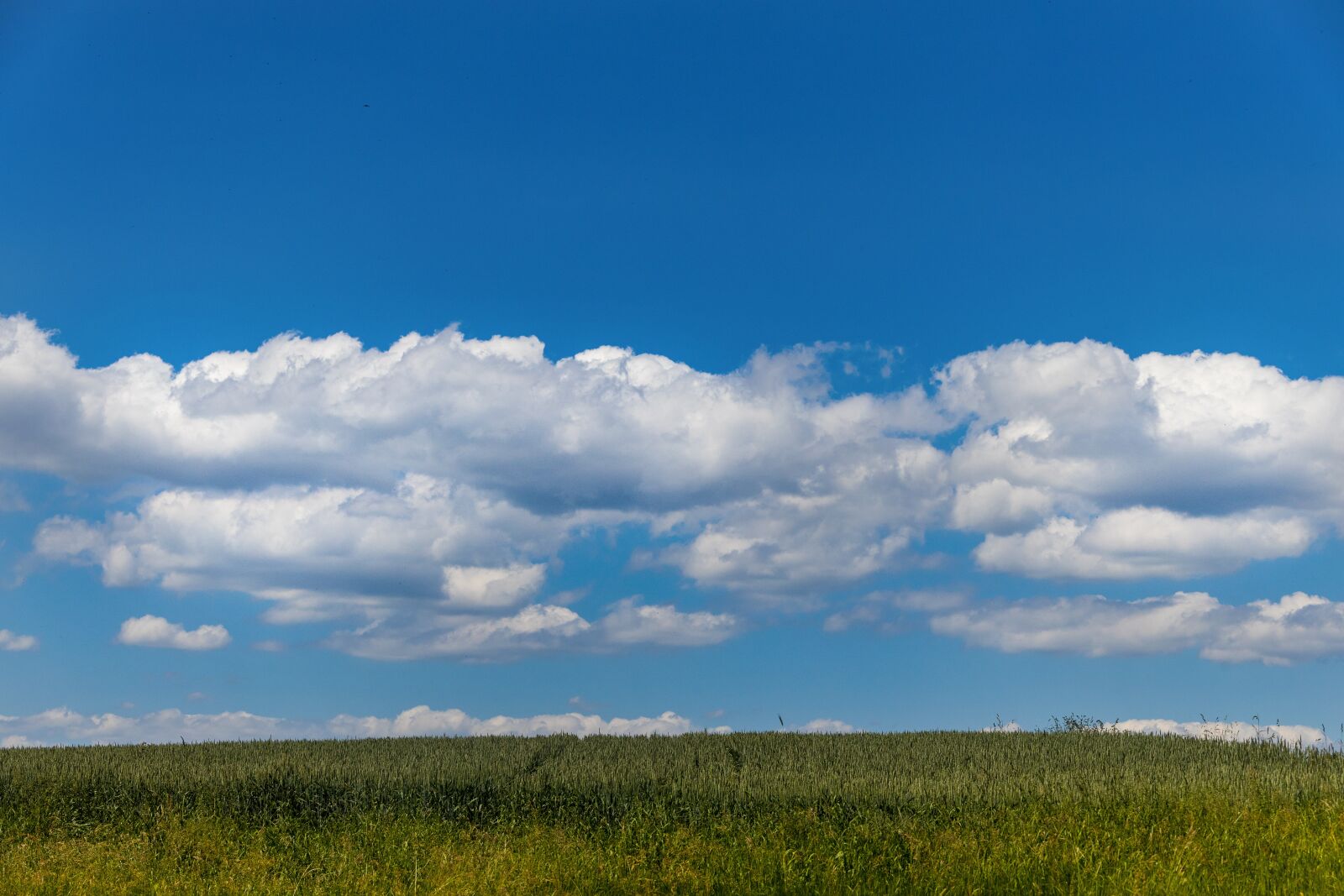 Canon EOS R sample photo. Clouds, sky, weather photography