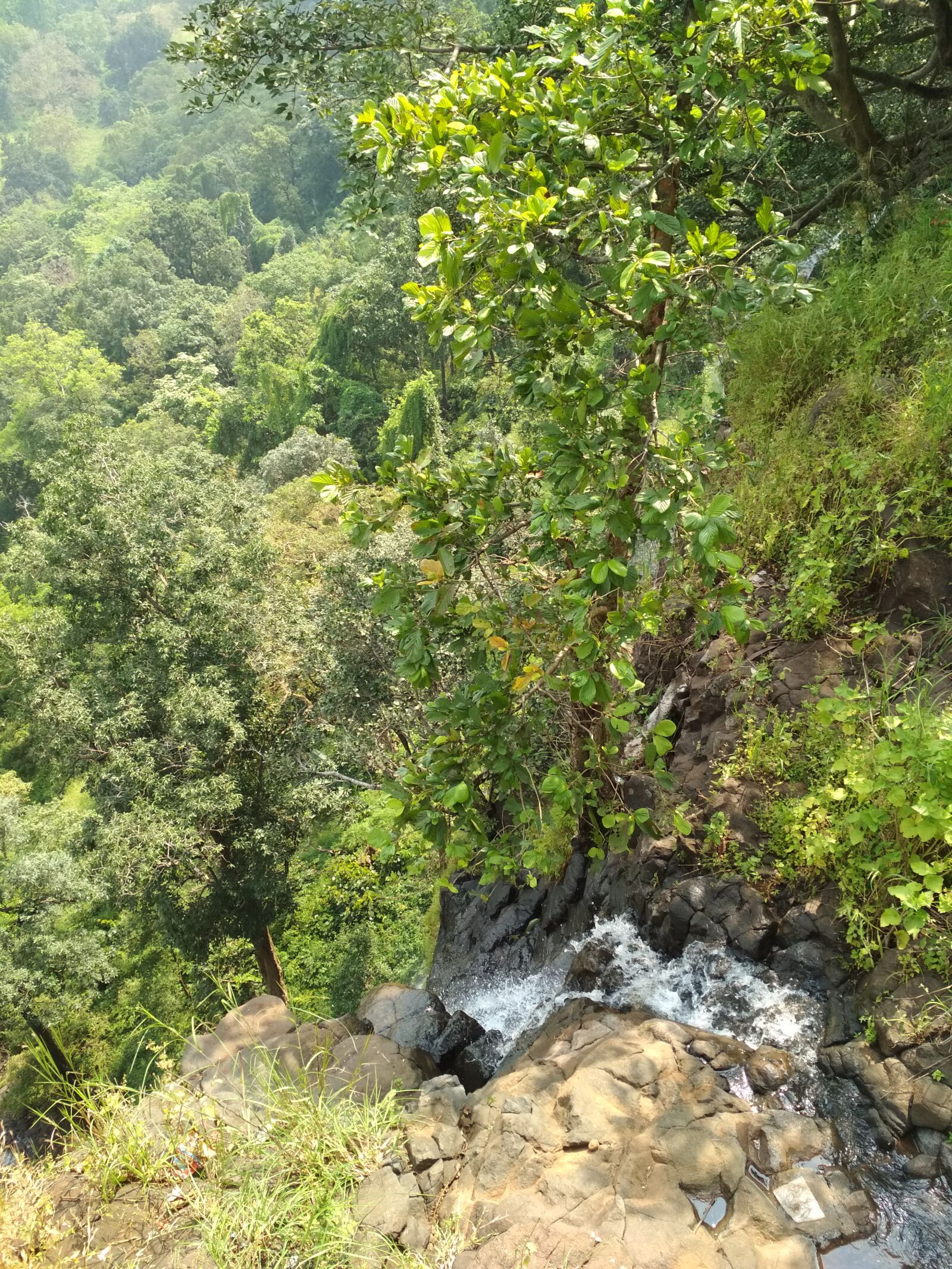 Xiaomi Redmi 4 Pro sample photo. Sonmuda, amarkantak photography