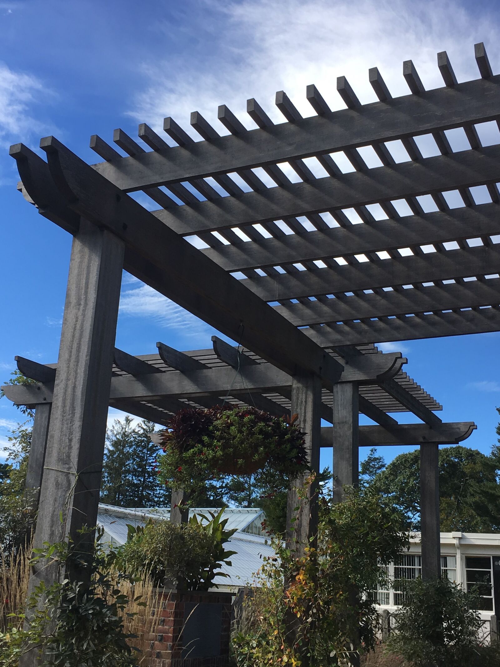 iPhone 6s back camera 4.15mm f/2.2 sample photo. Structure, wooden, deck photography