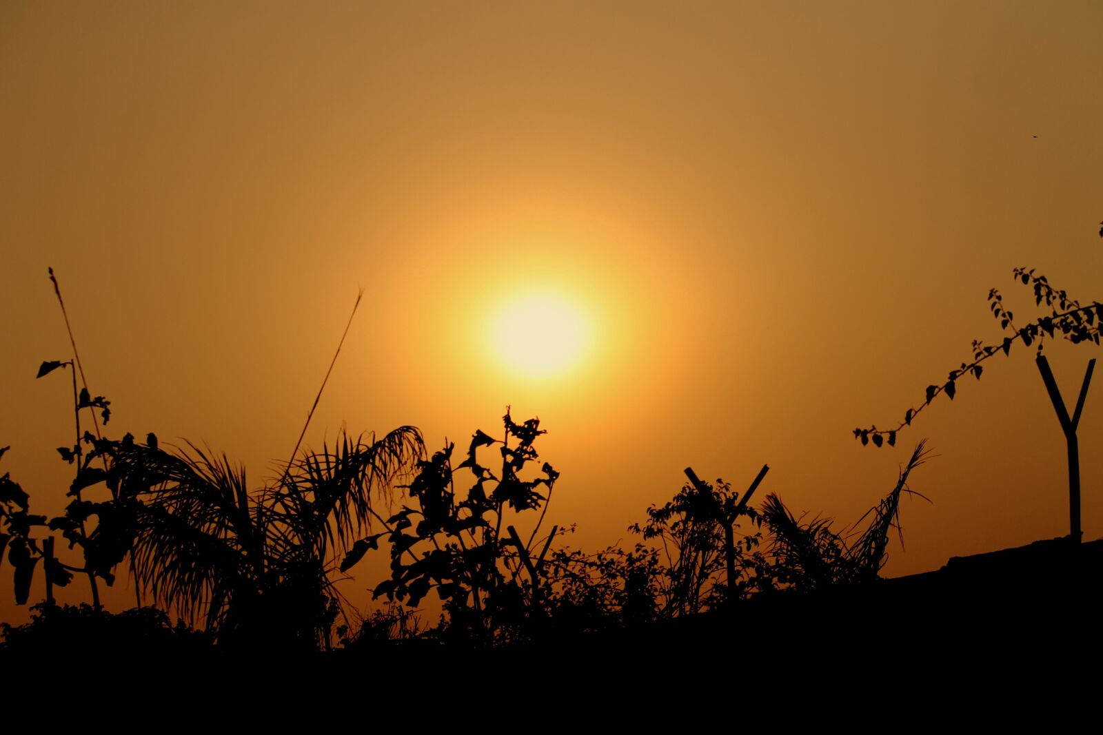Canon EF-S 55-250mm F4-5.6 IS II sample photo. Sunset, sunrise, sun photography