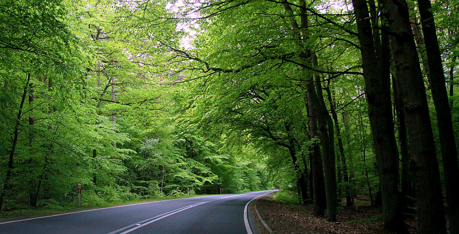 Canon EOS 50D sample photo. Way, highway, landscape photography