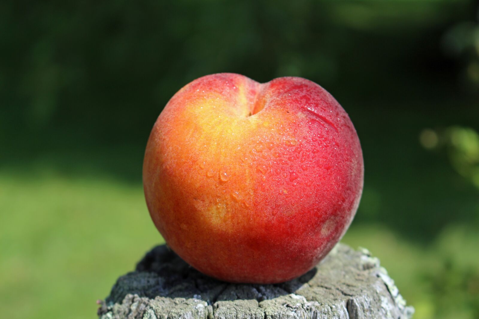 Canon EOS 700D (EOS Rebel T5i / EOS Kiss X7i) sample photo. Peach, fruit, food photography