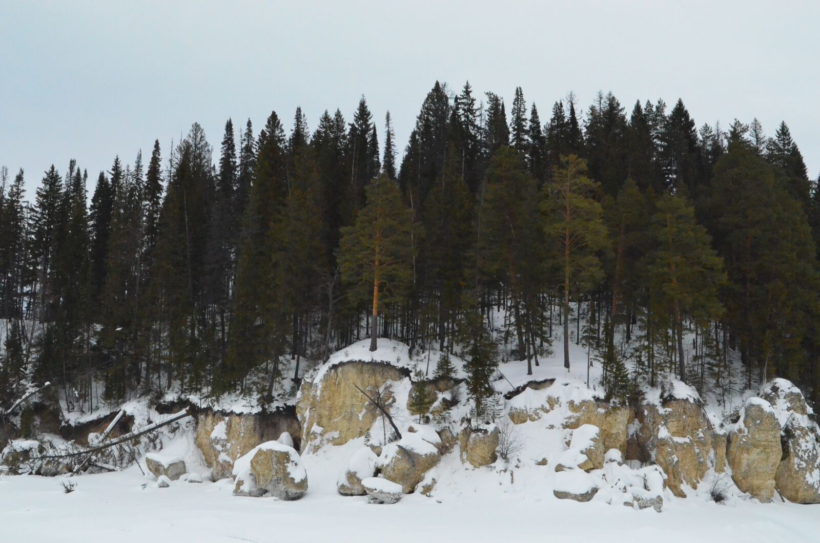 Nikon D5100 sample photo. Rock, forest, nature photography