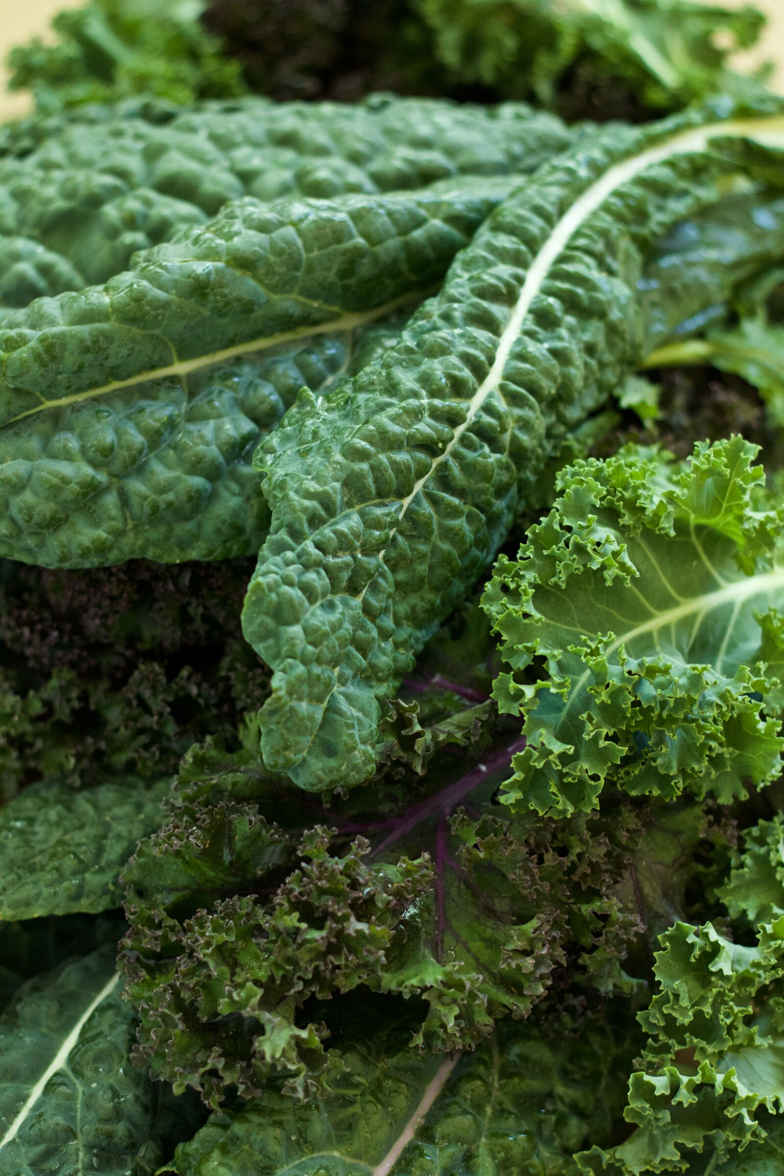 Canon EOS 70D + Canon EF 50mm F1.8 II sample photo. Vegetable, green, kale photography