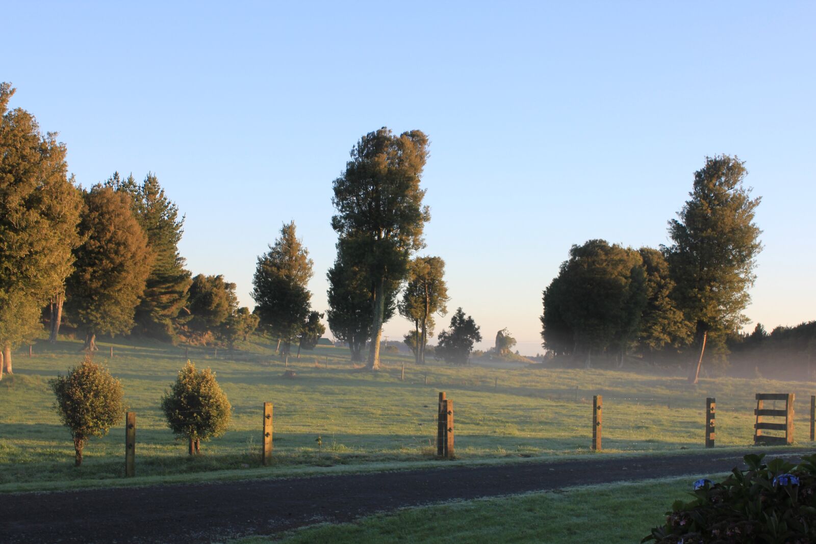 Canon EOS 550D (EOS Rebel T2i / EOS Kiss X4) sample photo. Country, paddock, trees photography