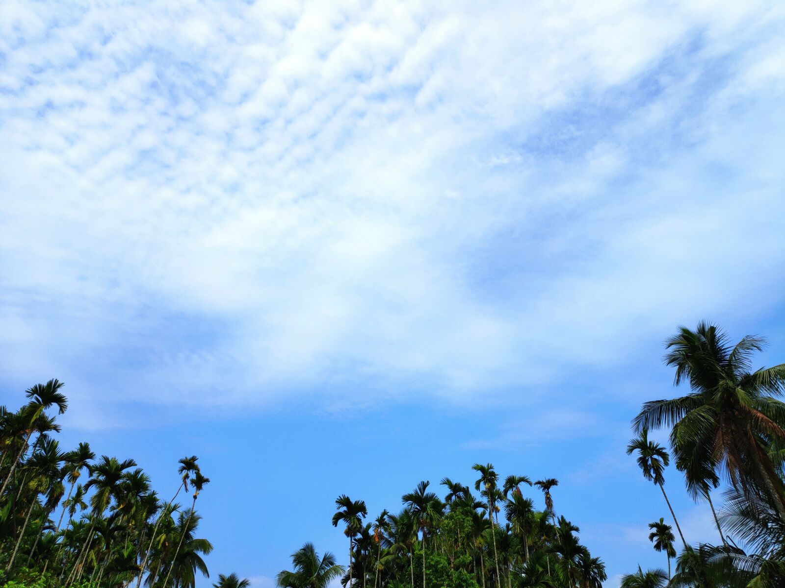 Xiaomi MI 8 SE sample photo. Blue sky, sky, blue photography