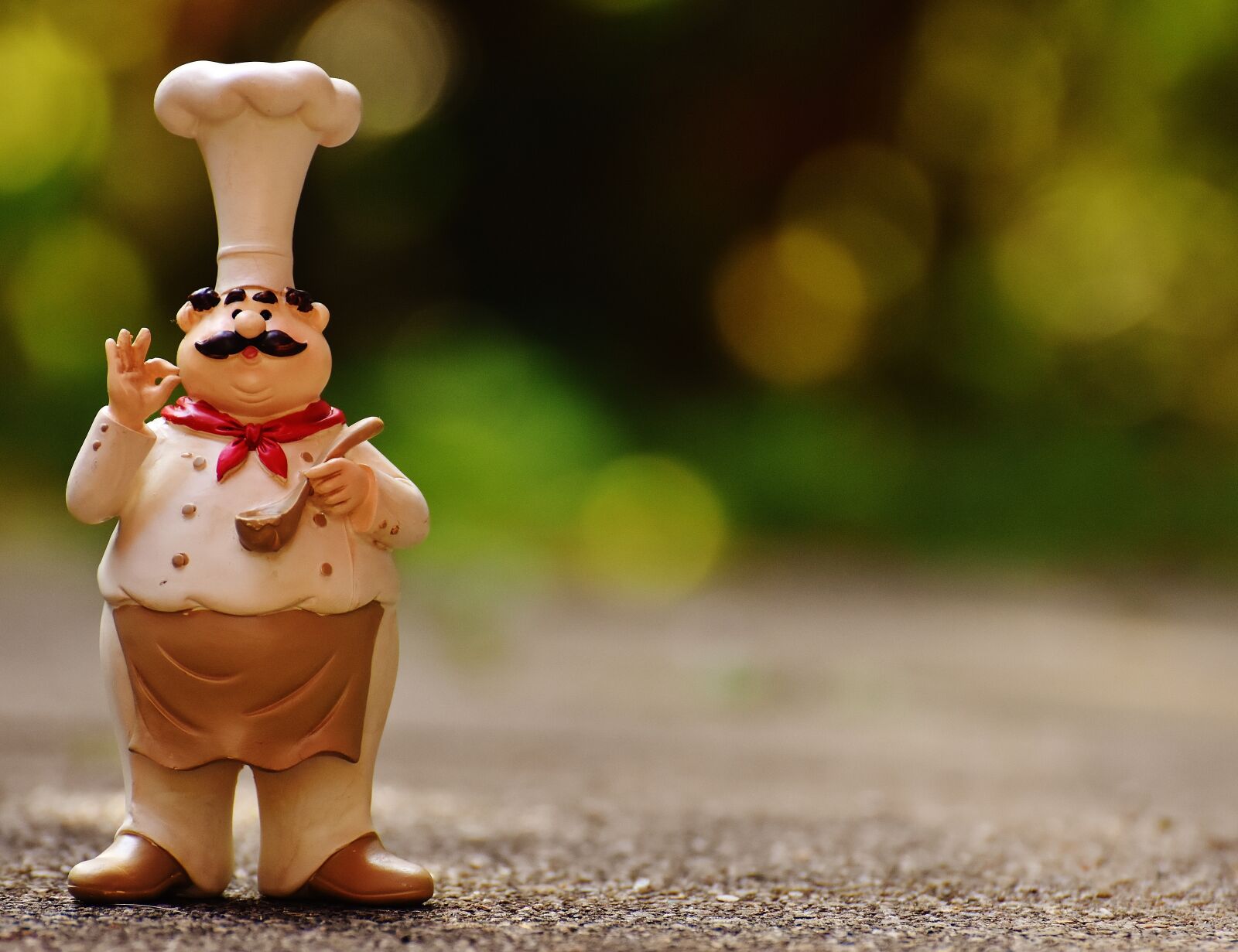 Nikon D7200 sample photo. Chefs, figures, funny photography