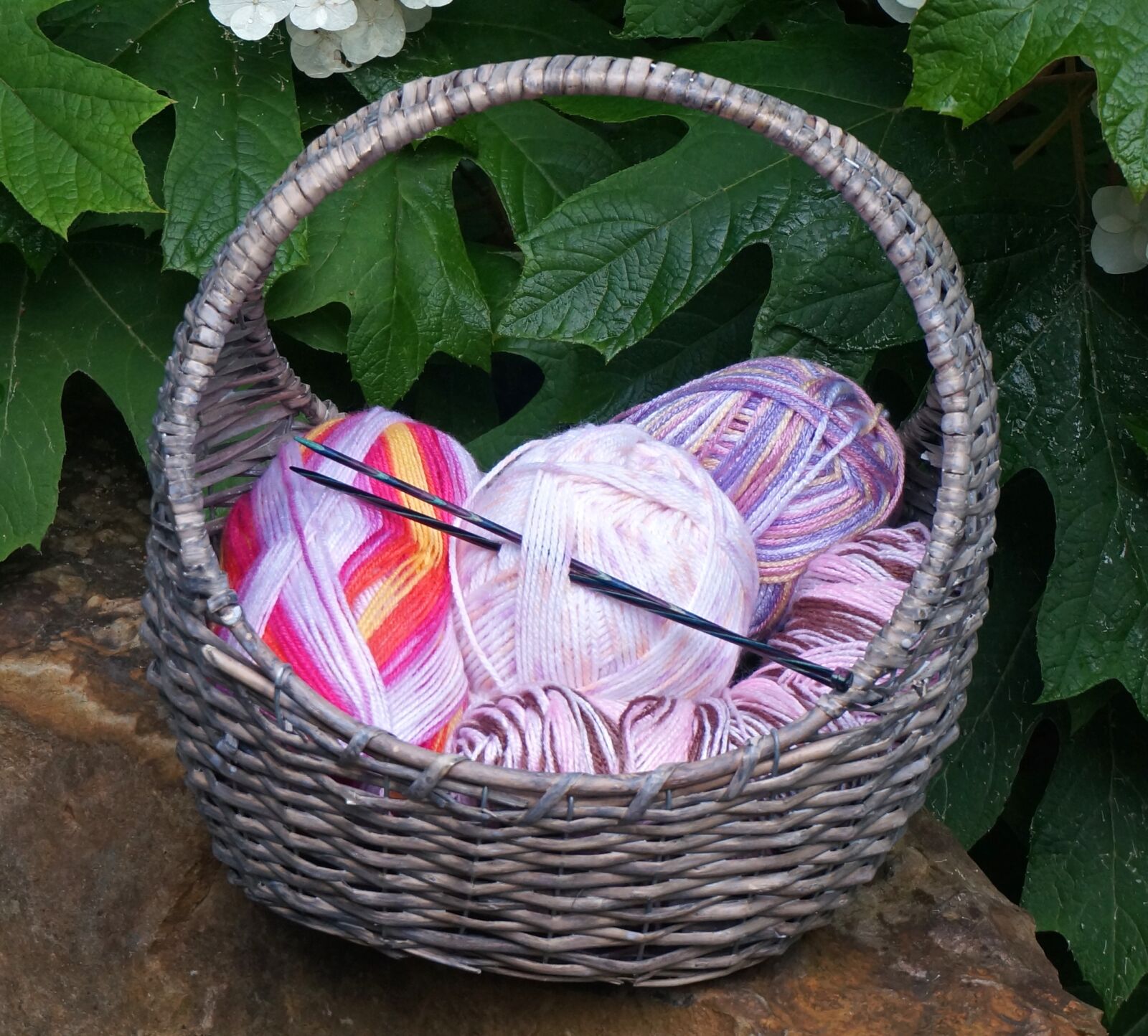 Sony Alpha NEX-5T sample photo. Variegated yarn, basket, baby photography
