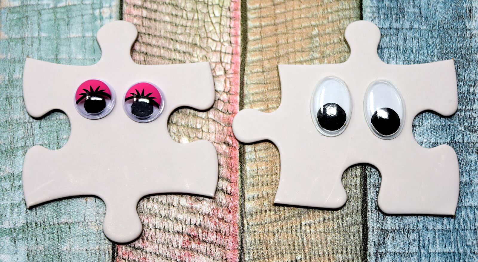 Nikon D7200 sample photo. Pair, fit together, together photography