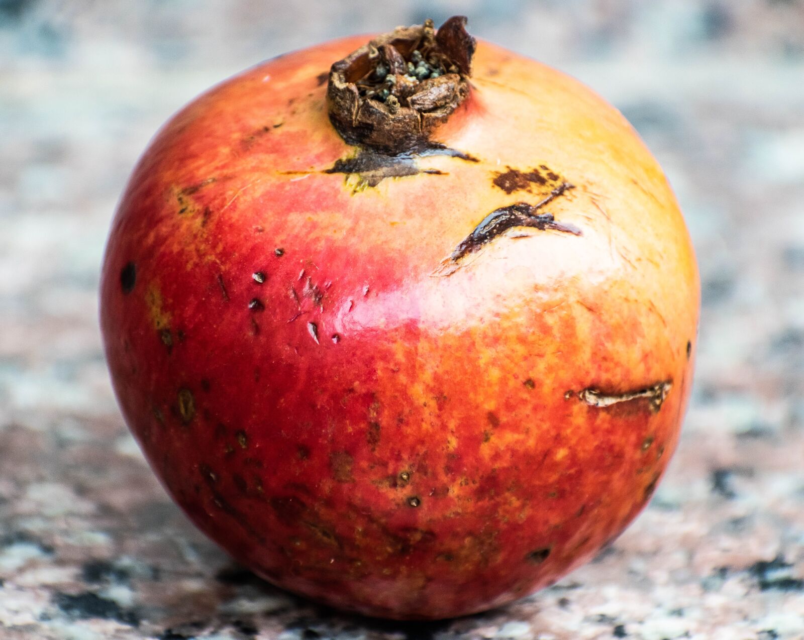 Nikon D3300 sample photo. Pomegranate, fruit, healthy photography