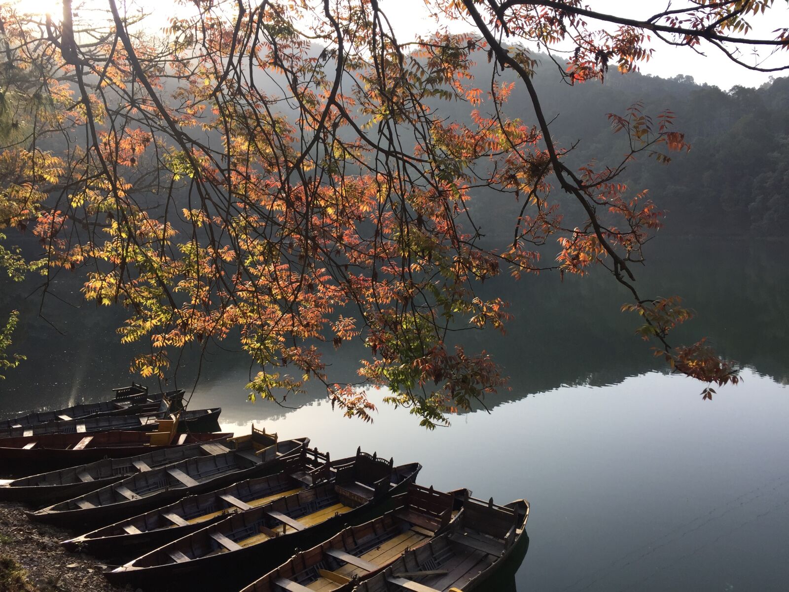 Apple iPhone 6 sample photo. Sathal, bhimtal, lake photography