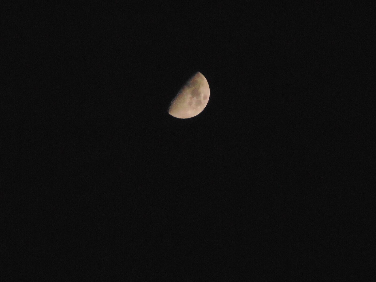 Sony DSC-H100 sample photo