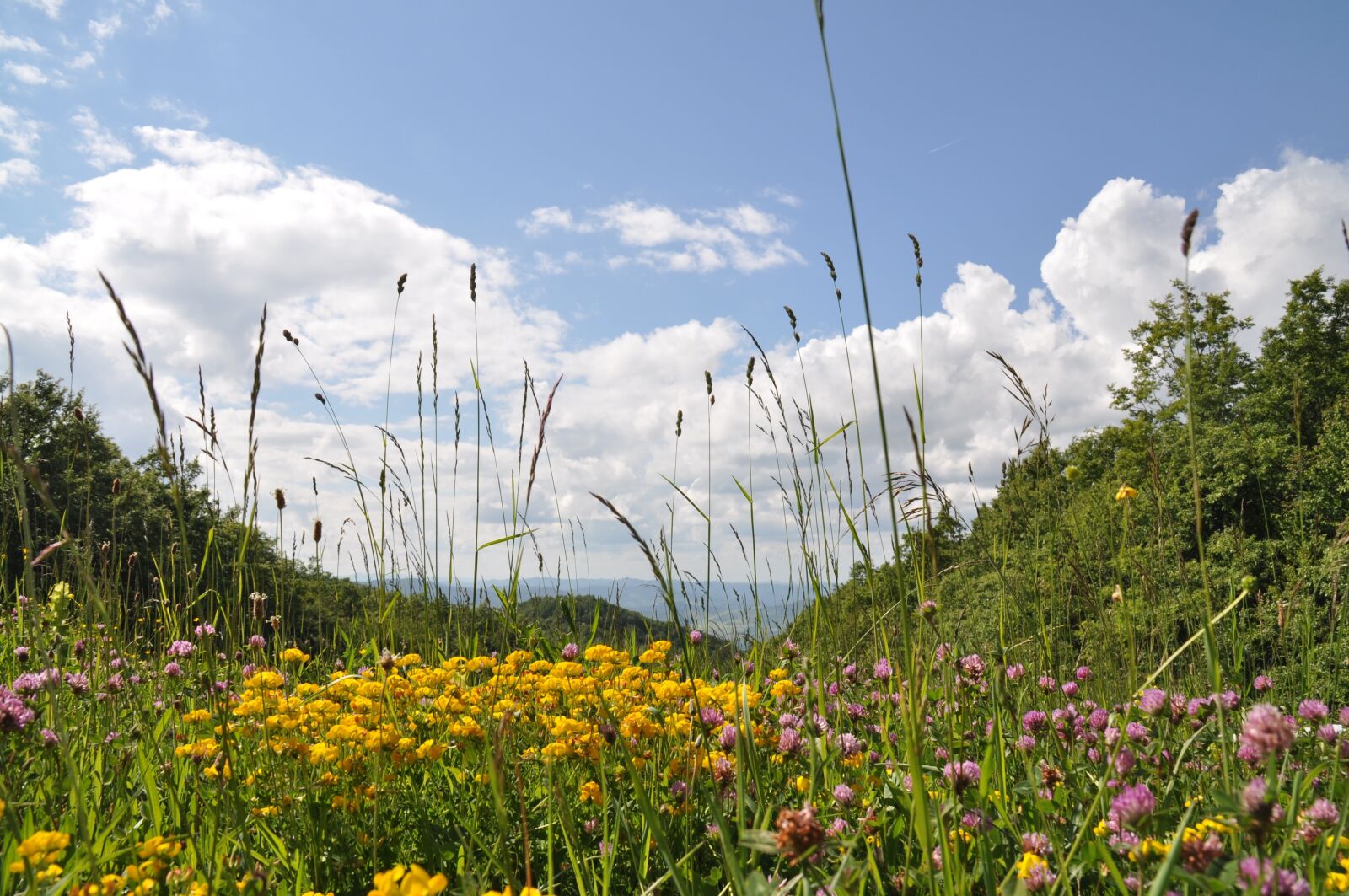 Nikon D5000 sample photo. Landscape, valmarecchia, sky photography