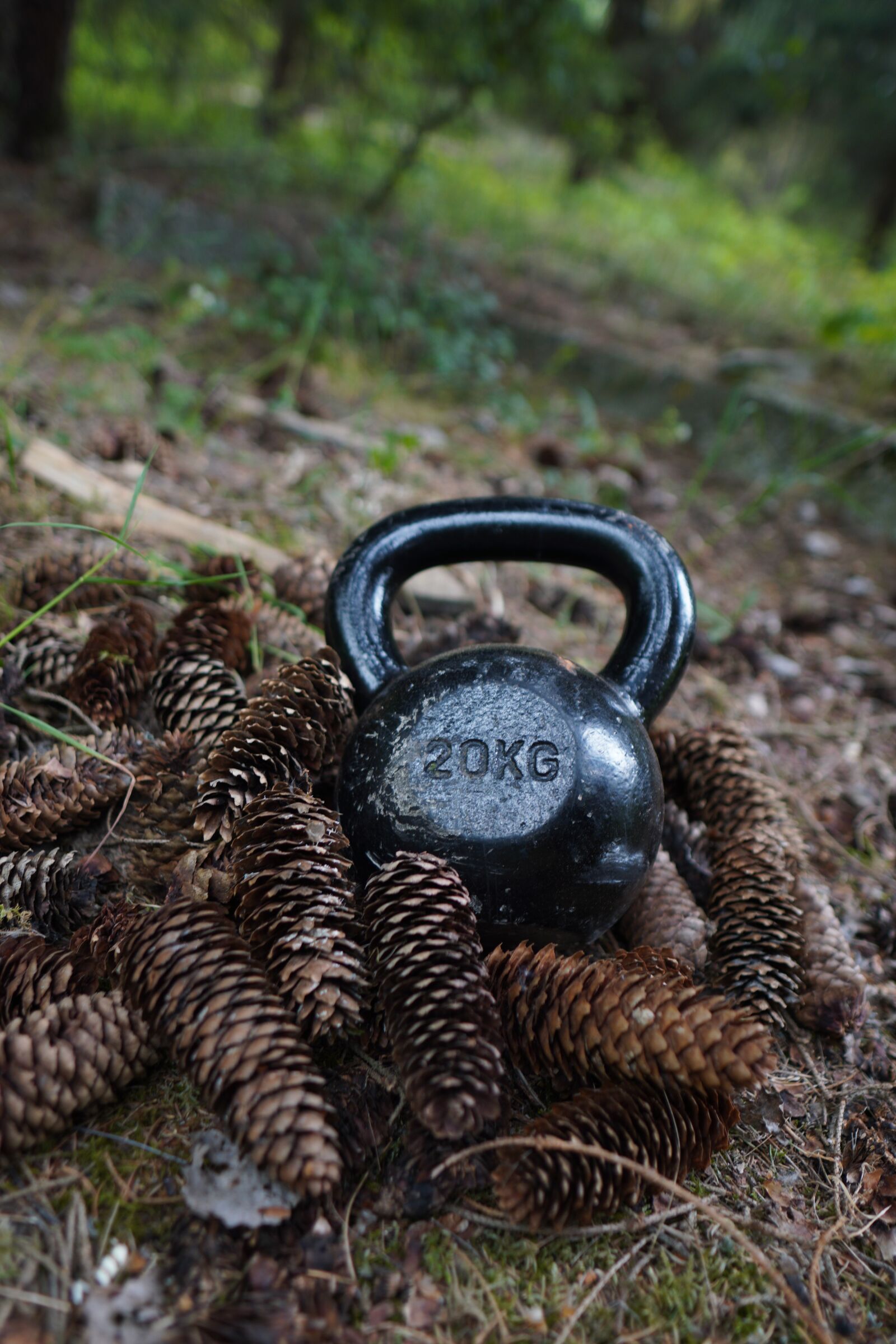 Sony a6400 + Sigma 16mm F1.4 DC DN | C sample photo. Carnivore, kettlebell, trening photography