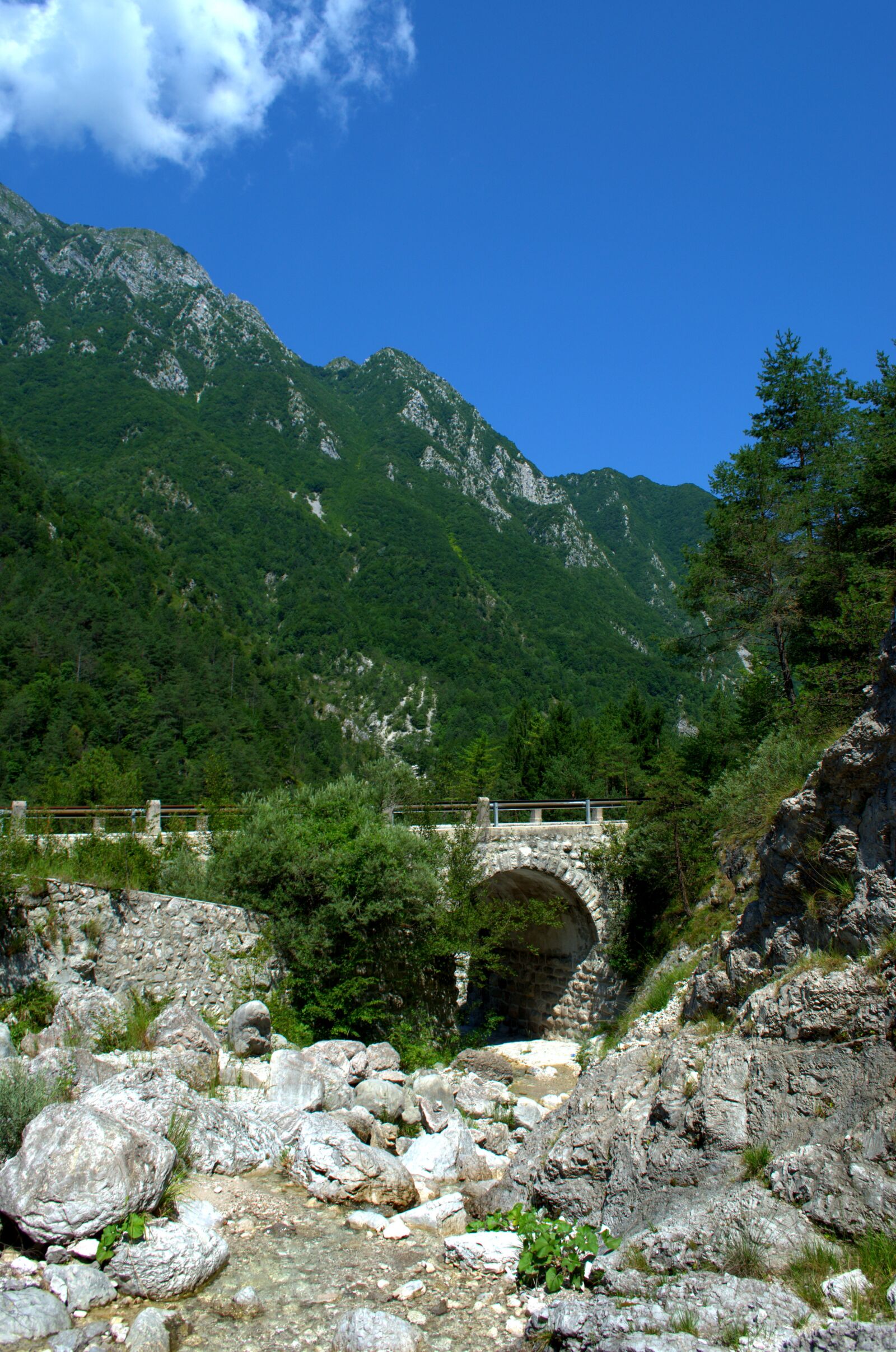 Nikon D5100 sample photo. Mountain, bridge, landscape photography