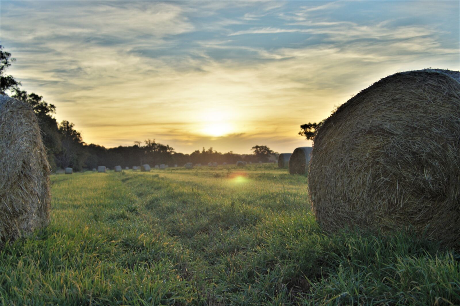 Pentax K-x sample photo. Bales, hay, autumn photography