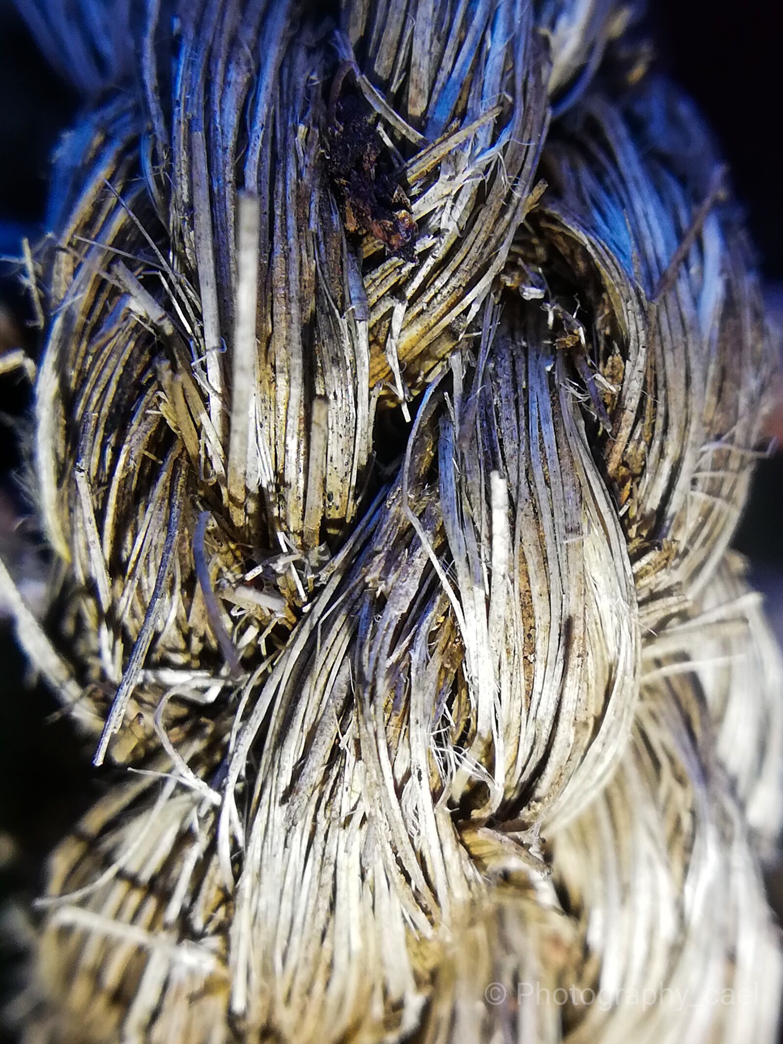 HUAWEI P20 lite sample photo. Rope, braid, string photography