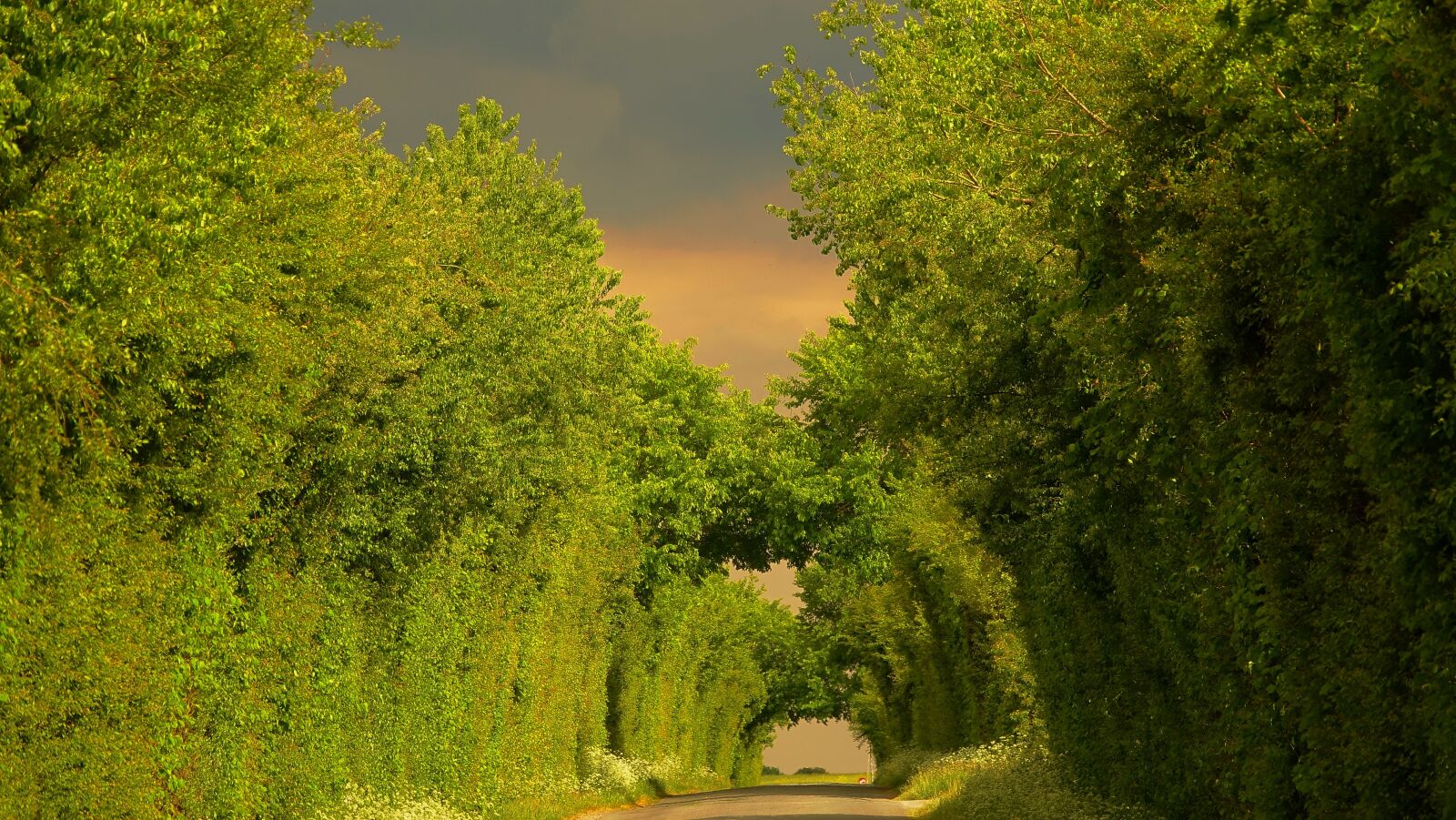 Sony Cyber-shot DSC-RX10 III sample photo. Country road, saint aubin photography