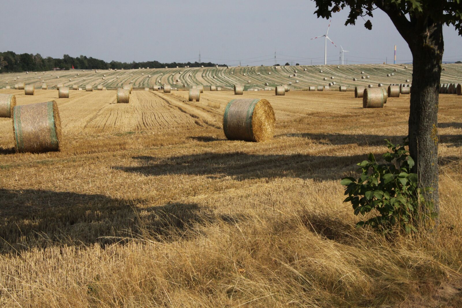 Canon EOS 50D sample photo. Burgst dt, arable, hay photography