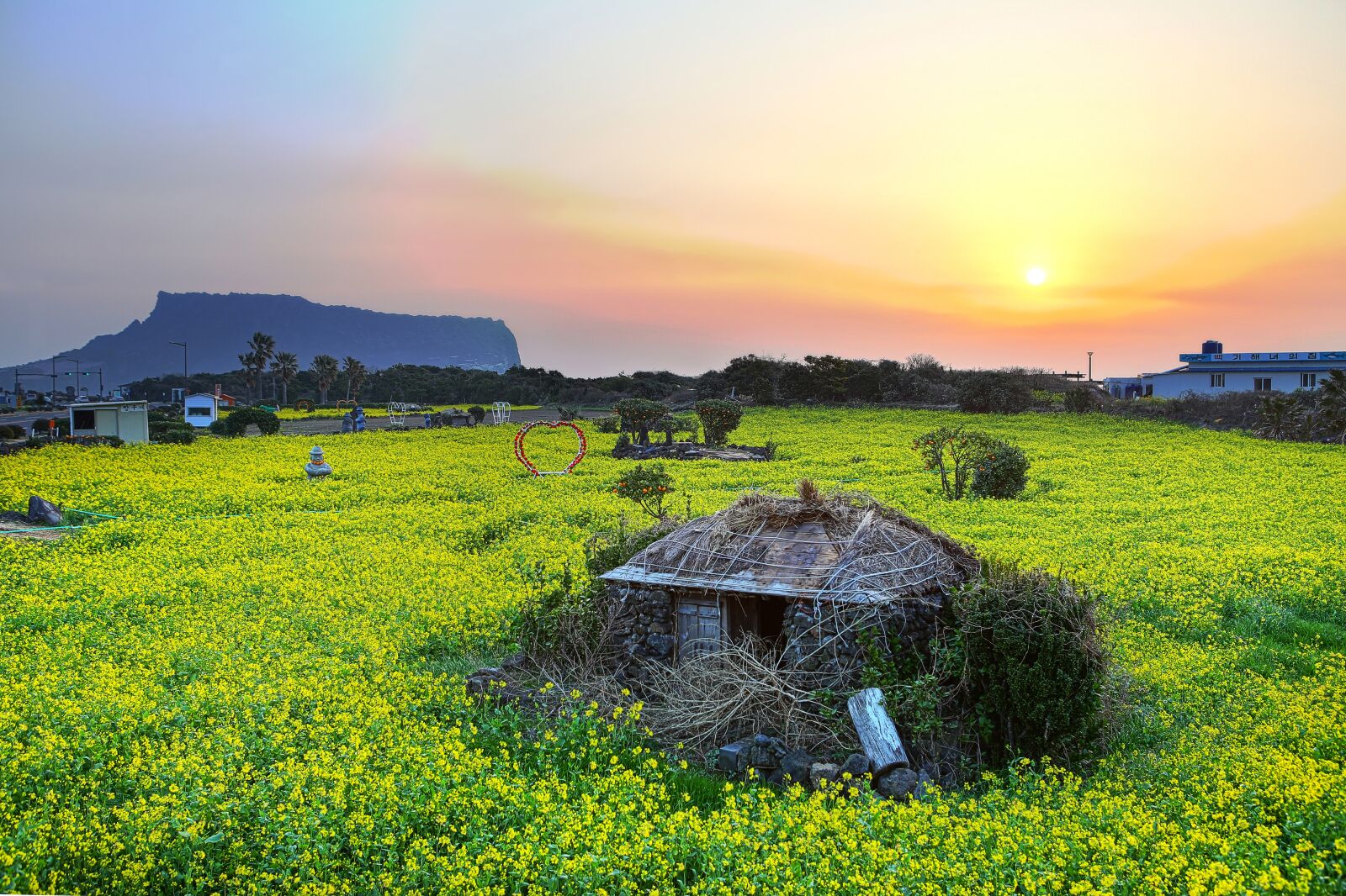 Canon EOS 5D Mark III sample photo. Shiroyama hiji peak, jeju photography