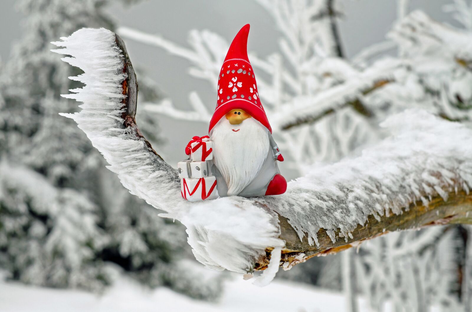 Fujifilm X-T10 + Fujifilm XF 35mm F1.4 R sample photo. Santa claus, christmas motif photography