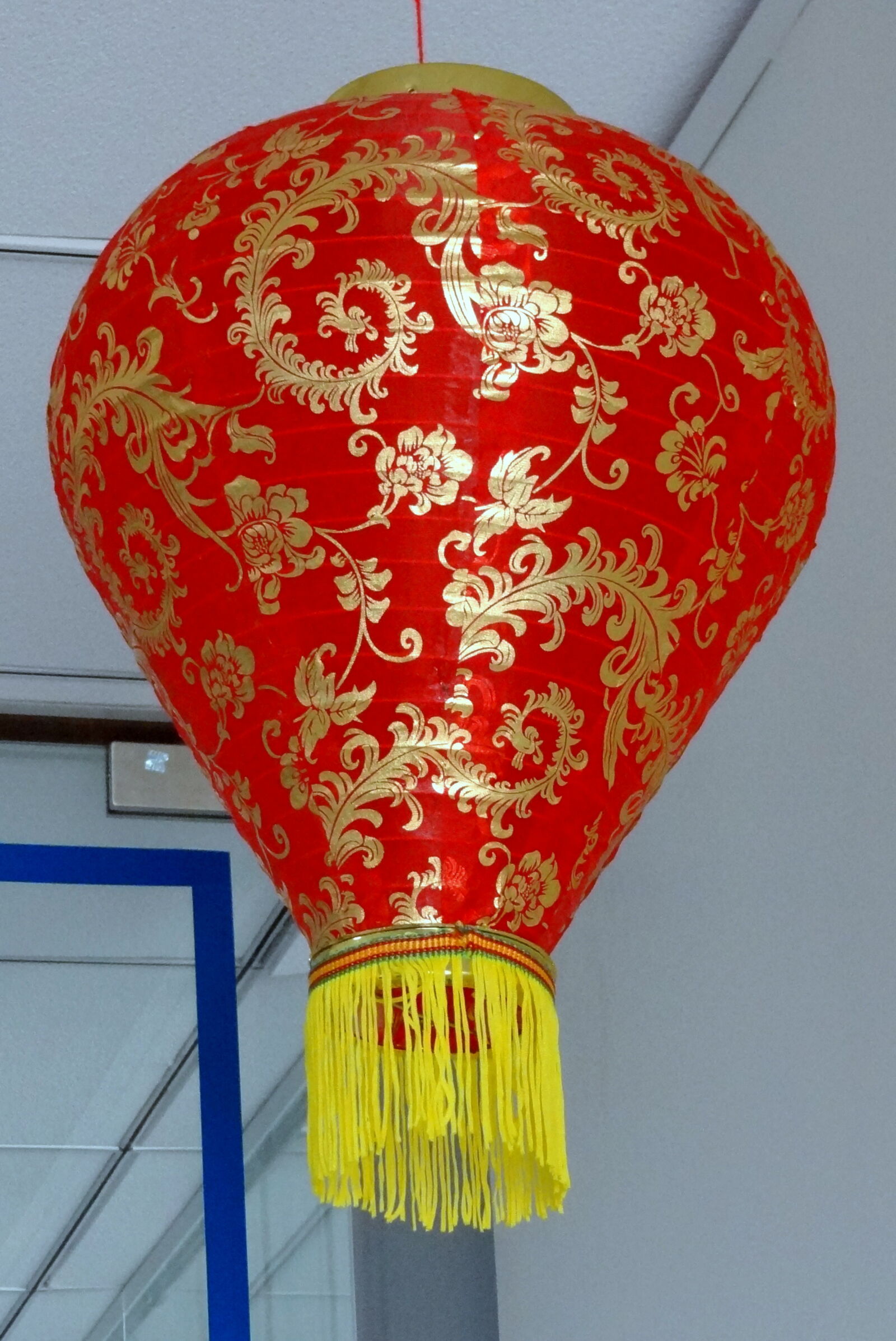 Sony Cyber-shot DSC-HX9V sample photo. Close, up, of, red photography