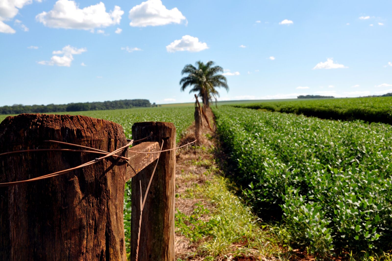 Nikon D90 sample photo. About, farm, vintage photography
