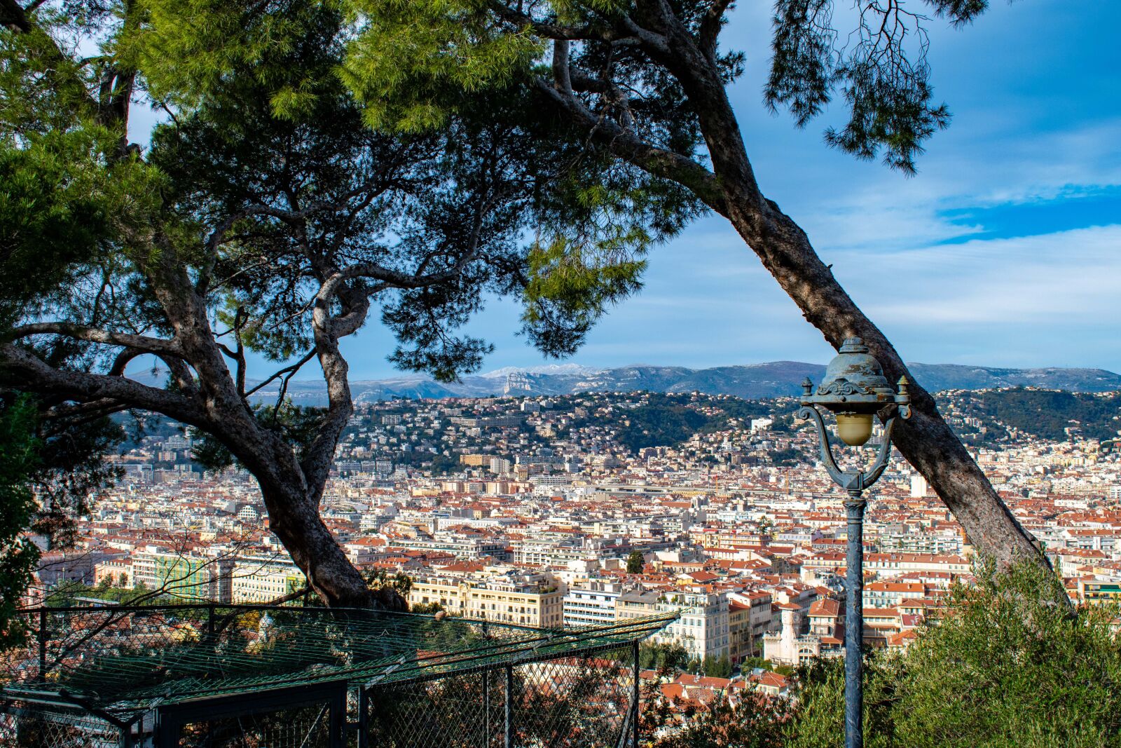 Nikon D5600 sample photo. France, panorama, trees photography