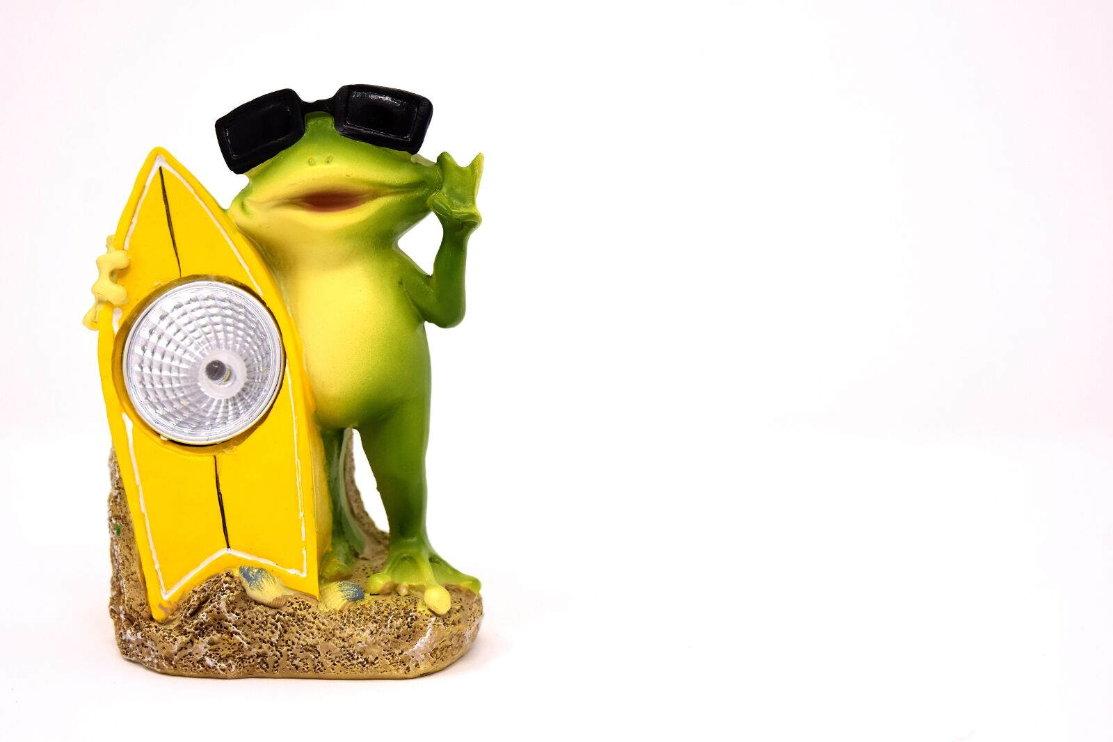 Nikon D7200 sample photo. Frog, funny, figure photography